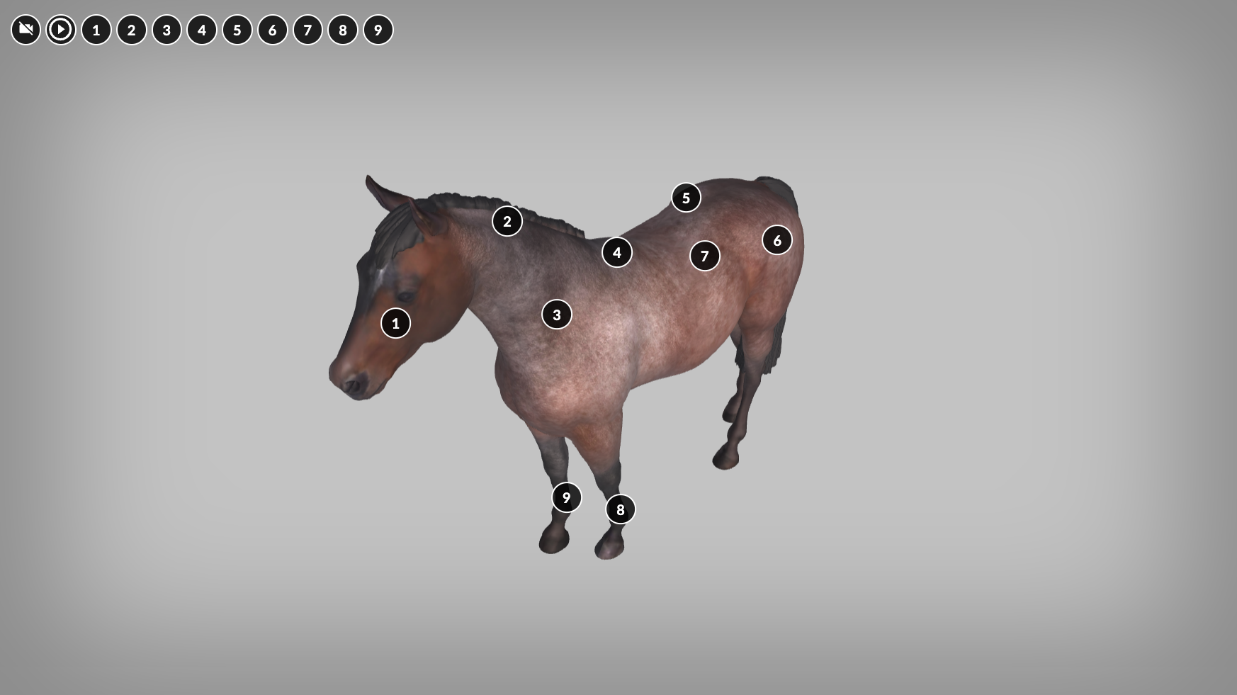 Ilustracja przedstawia wizualizację modelu w grafice 3D. Na szarym tle widoczny jest stojący koń. W różnych miejscach na ciele umieszczone są punkty od jeden do dziewięć. W lewym górnym rogu widoczne są okrągłe ikony ułożone w poziomie. Pierwsza przedstawia przekreśloną kamerę, druga przycisk play, czyli trójkąt wpisany w okrąg, a kolejne to cyfry od jeden do dziewięć.