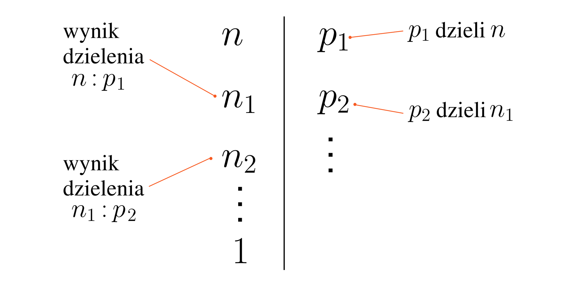 Na ilustracji przedstawiono dwa pionowe rzędy  czynników oddzielone prostą. Po lewej stronie prostej zapisano, kolejno od góry n, n1, n2. Po prawej stronie prostej, równolegle do n, czynnik p1 oraz równoległe do n1 czynnik p2. Najbardziej po lewej umieszczono następujące napisy. Wynik dzielenia n÷p1, od którego poprowadzono strzałkę do n1 oraz wynik dzielenia n1÷p2, od którego poprowadzono strzałkę do n2. Najbardziej po prawej umieszczono napisy. p1 dzieli n, od którego poprowadzono strzałkę do p1 oraz p2 dzieli n1 od którego poprowadzono strzałkę do p2.