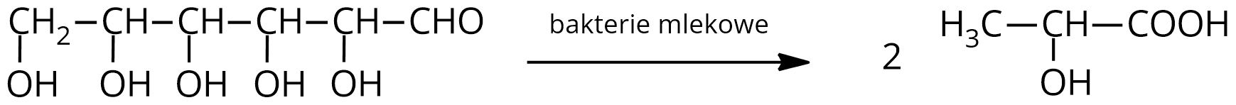 Ilustracja przedstawia równanie reakcji fermentacji mlekowej. Cząsteczka cukru zbudowanego z sześciu atomów węgla tworzących łańcuch. Pierwszy z nich łączy się za pomocą wiązania pojedynczego z atomem wodoru oraz za pomocą wiązania podwójnego z atomem tlenu. Drugi, trzeci, czwarty i piąty atom węgla podstawione są każdy jedną grupą hydroksylową OH oraz jednym atomem wodoru. Ostatni, szósty atom węgla w łańcuchu łączy się dwoma atomami wodoru oraz z jedną grupą hydroksylową. Strzałka w prawo, nad strzałką zapis. Bakterie mlekowe. Za strzałką dwie cząsteczki kwasu mlekowego zbudowanego z grupy karboksylowej COOH połączonej z grupą CH, która to związana jest z grupą hydroksylową oraz z grupą metylową.