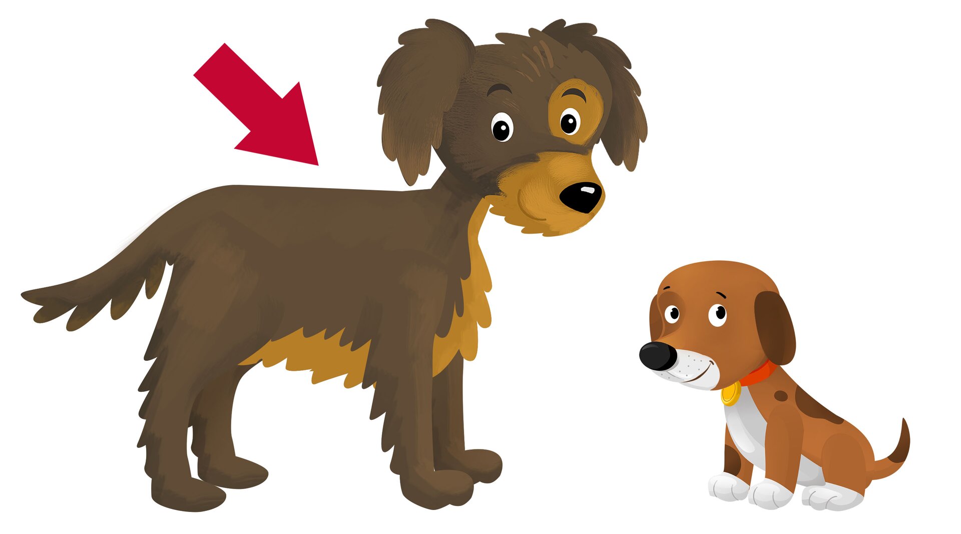 Na ilustracji znajduje się mały i duży pies. Czerwona strzałka wskazuje na dużego psa.