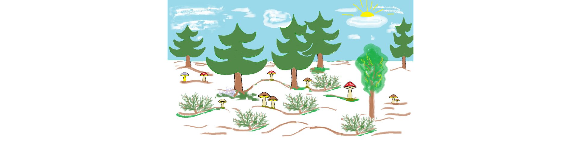 Ilustracja stworzona w programie graficznym przedstawiająca las z grzybami. Całość narysowana jest różnymi technikami, grzyby są narysowane za pomocą krzywych, drzewa za pomocą ołówka i wypełniania kolorem, a krajobraz i krzewy powstały przy użyciu różnych pędzli.