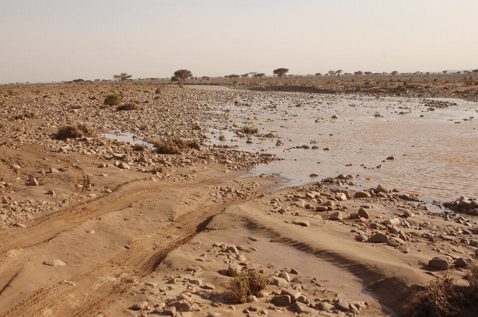 Zdjęcie przedstawia piaszczysty teren. Na powierzchni piasku leżą różnej wielkości kamienie. Po prawej stronie zdjęcia w zagłębieniu stoi woda. Przed wodą na piasku są ślady koł samochodu. W oddali rosną pojedyncze drzewa.    