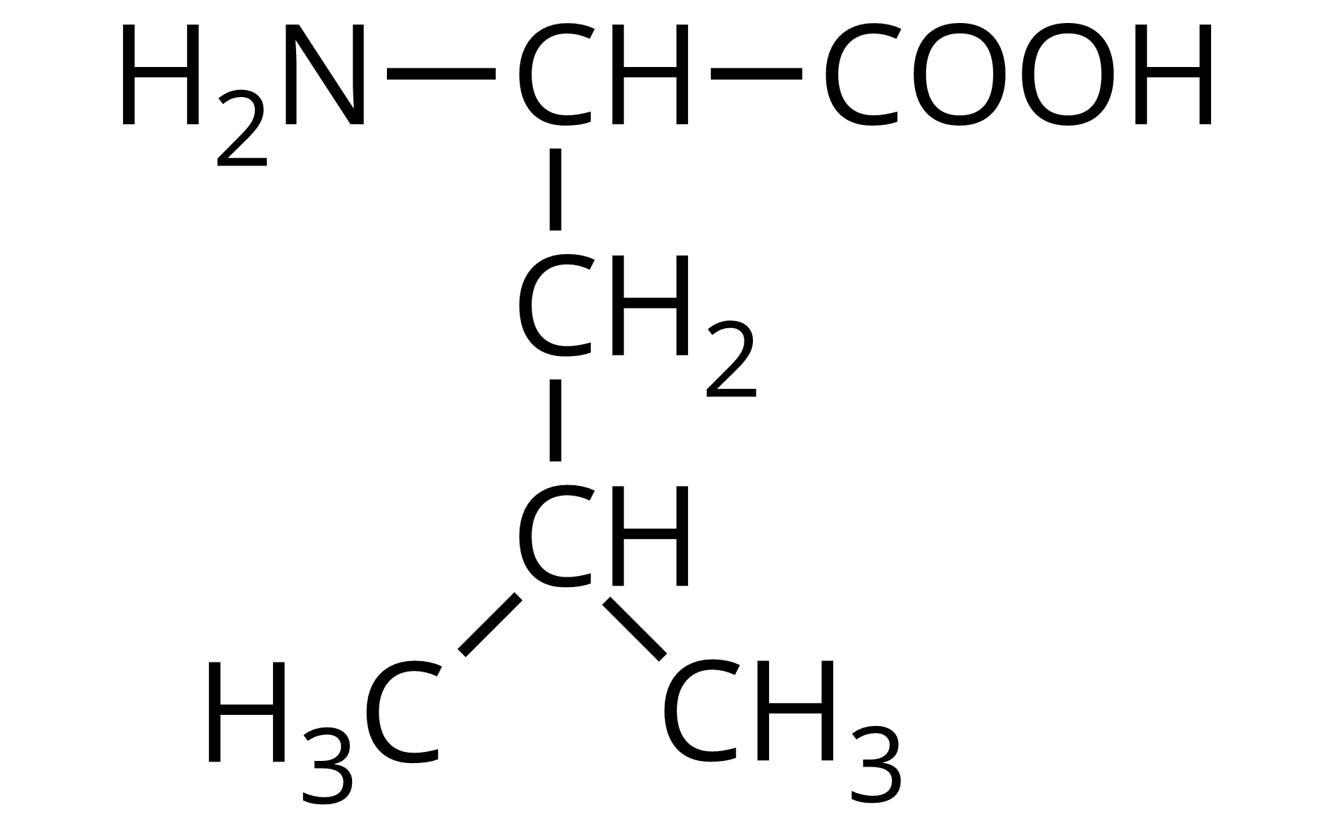 Na ilustracji jest wzór półstrukturalny: od prawej strony do lewej - grupa COOH łączy się z grupą CH. Ta w lewo łączy się z grupą aminową pierwszorzędową, a w dół z grupą metylenową. Grupa metylenowa łączy się na dole z grupą CH połączoną po lewej i prawej stronie z grupą metylową. 