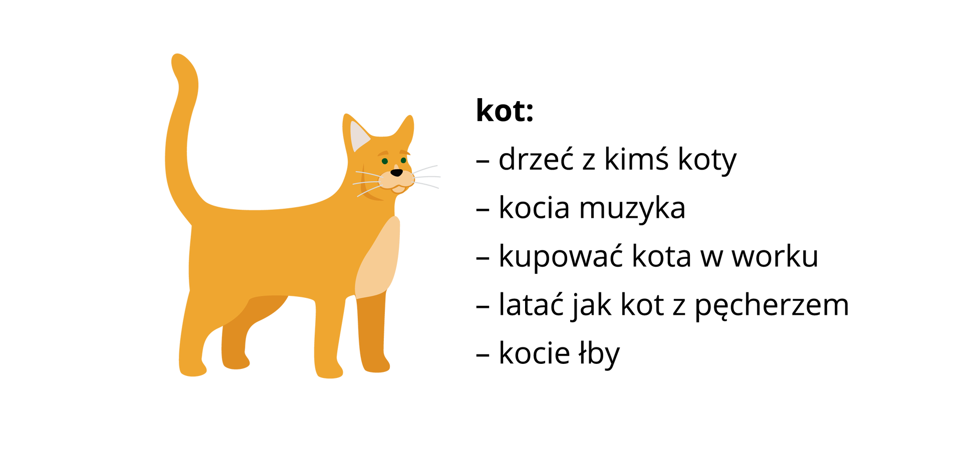 Ilustracja przedstawia żółtego kota z podniesionym ogonem. Obok wypisane są związki frazeologiczne: kot: drzeć z kimś koty, kocia muzyka, kupować kota w worku, latać jak kot z pęcherzem, kocie łby.