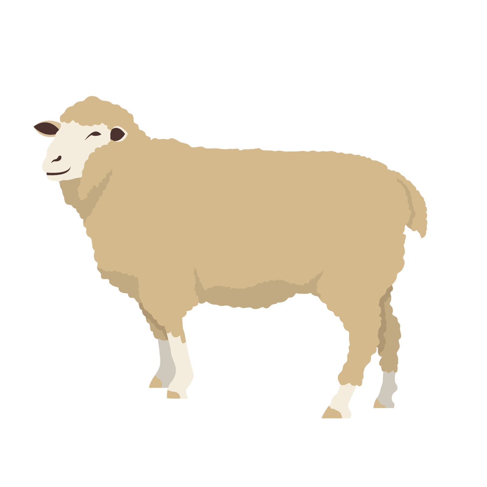 Ilustracja przedstawia owcę. Jest to zwierzę, które ma ciało pokryte beżową sierścią, małe uszy sterczące na boki i cztery nogi zakończone kopytami.