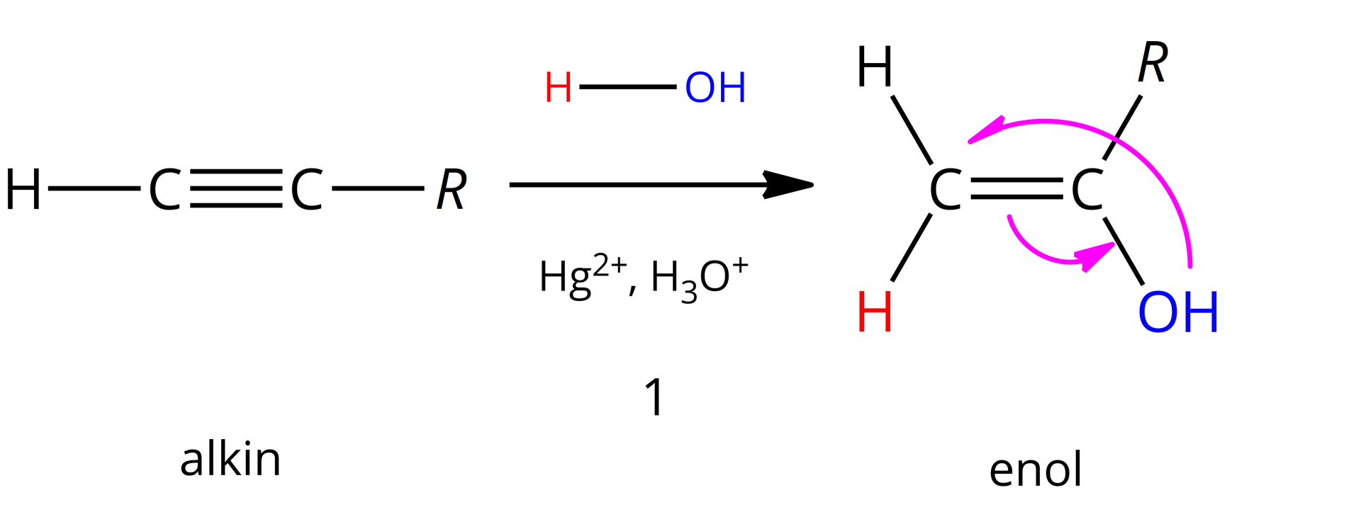 Ilustracja przedstawia schemat addycji cząsteczki wody do alkinu. Na obrazku znajduje się ogólny wzór alkinu: wodór wiązanie pojedyncze węgiel wiązanie potrójne węgiel wiązanie pojedyncze R, strzałka w prawo, nad strzałką cząsteczka wody i jony Hg indeks górny dwa plus, H indeks dolny trzy O indeks górny plus. Powstaje związek z wiązaniem podwójnym węgiel -węgiel. Do pierwszego atomu węgla dołączone są dwa atomy wodoru za pomocą wiązań pojedynczych. Do drugiego atomu węgla dołączona jest grupa R i OH za pomocą wiązań pojedynczych. Dodatkowo strzałka od protonu grupy OH do atomu węgla podstawionego dwoma wodorami. Strzałka od wiązania podwójnego do wiązania między węglem a grupą OH. Pod wzorem znajduje się podpis: enol.