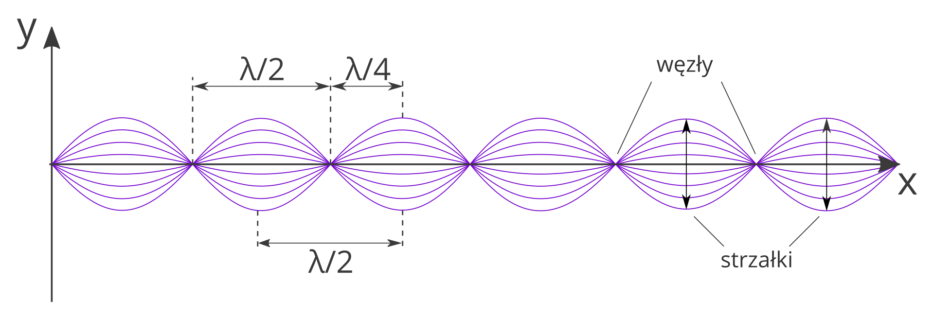 Ilustracja przedstawia charakterystyczne elementy fali stojącej. Symetrycznie w pierwszej i ostatniej ćwiartce układu współrzędnych, wzdłuż osi poziomej iks, narysowano linie, które tworzą ciąg jednakowych elementów. Każdy element wygląda jak rozciągnięta podłużna elipsa o ostro zakończonych końcach. W miejscu, gdzie łączą się dwie sąsiadujące elipsy na osi poziomej oznaczenie kreską z napisem: węzły. W środku dwóch sąsiadujących elips pionowe strzałki z grotami z podpisem: strzałki. Odległość między najbliższymi węzłami oznaczono poziomym odcinkiem z napisem: mała litera lambda, kreska ułamkowa, dwa. Odległość między najbliższym węzłem i strzałką oznaczono poziomym odcinkiem z napisem: mała litera lambda, kreska ułamkowa, cztery.