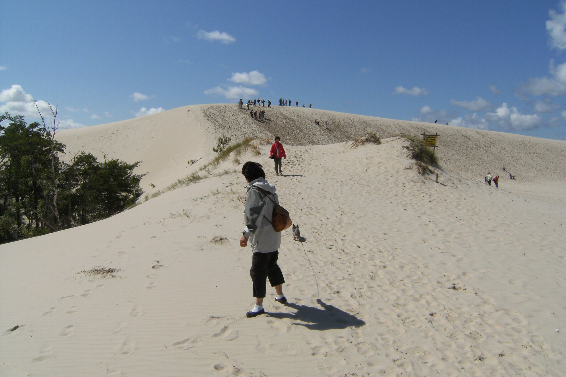 Na zdjęciu rozległa wydma porośnięta skąpą roślinnością, na szczycie grupa ludzi, z lewej strony w dole kilka drzew, pnie zasypane piaskiem.