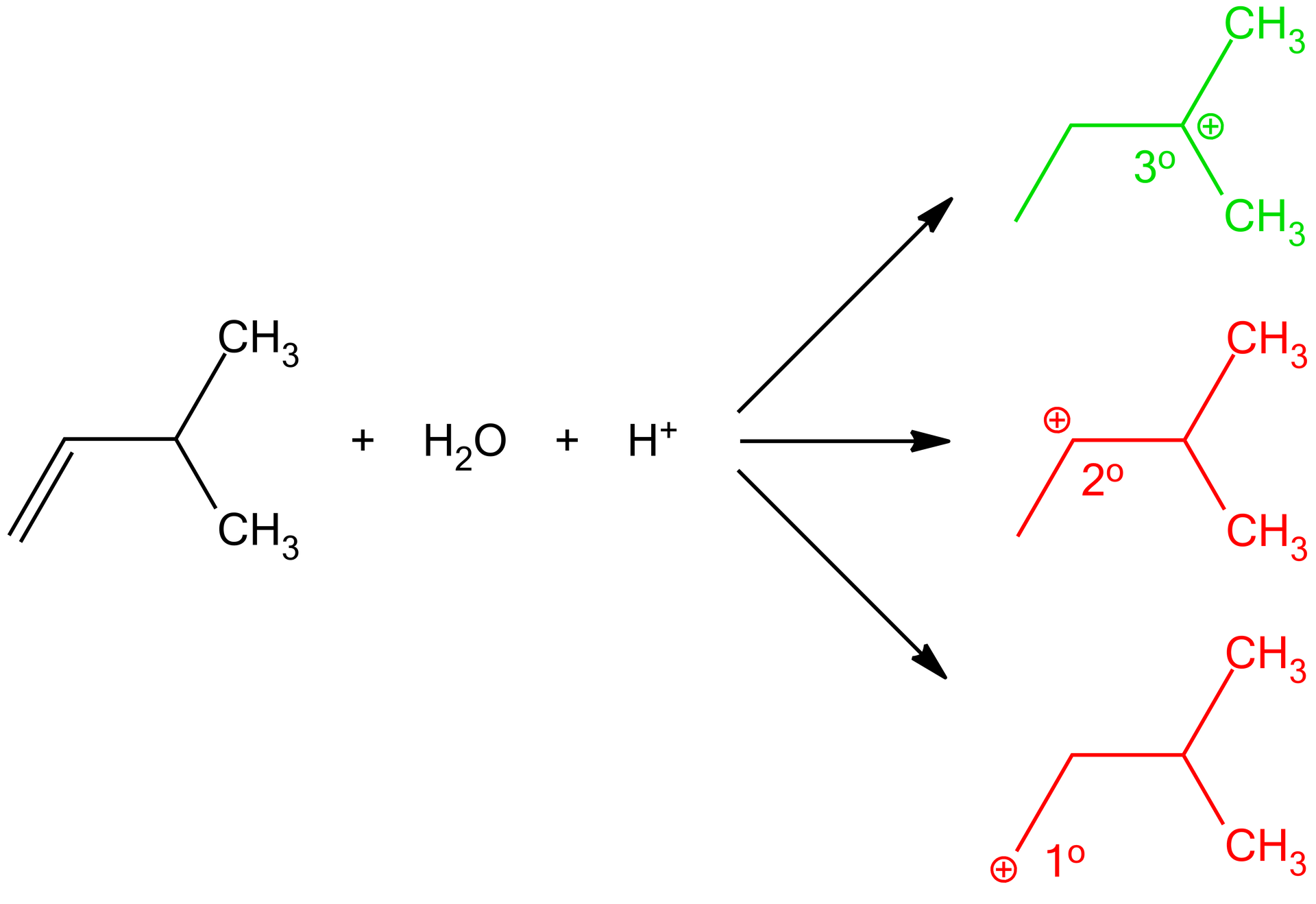Na ilustracji jest schemat reakcji powstawania karbokationów: jedna cząsteczka 3‑metylobut‑1-enu dodać jedna cząsteczka wody dodać jeden kation wodorowy, trzy strzałki w prawo. Strzałki prowadzą do trzech wzorów. Na zielono narysowano wzór jednej cząsteczki karbokationu trzeciorzędowego 2‑metylobutanu. Na czerwono jest jedna cząsteczka karbokationu drugorzędowego 2‑metylobutanu oraz wzór jednej cząsteczki karbokationu pierwszorzędowego 2‑metylobutanu. 