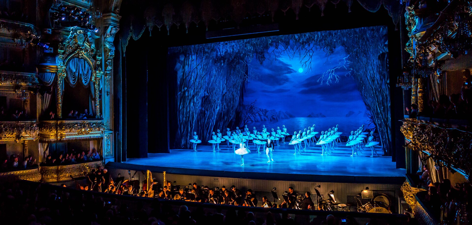 Zdjęcie ze spektaklu “Jezioro Łabędzie” w Teatrze Maryjskim, w Sankt Petersburgu w Rosji. Na scenie bajkowa scenografia. Wszystko jest w odcieniach koloru niebieskiego. Na niebie chmury i księżyc, po bokach gęste, wysokie drzewa. W centrum sceny para: tancerka i tancerz. Z tyłu duża grupa baletnic. Baletnice są ubrane na biało, mają sterczące spódniczki paczki i białe kostiumy. Przed sceną w kanale widać orkiestrę. Z boku sceny widać bogato zdobione loże.