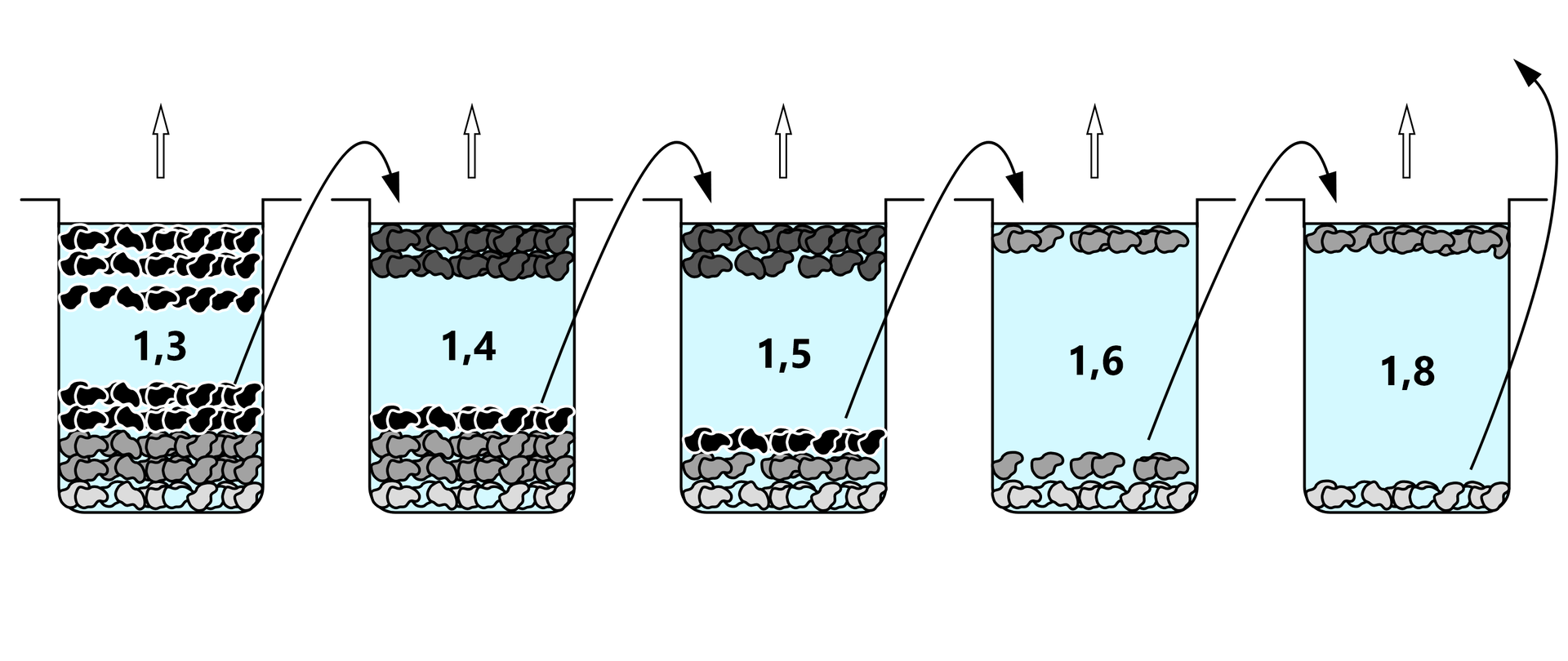 Ilustracja przedstawia schematycznie analizę densymetryczną kopalin. W pięciu zlewkach znajduje się ciecz ciężka wraz z badaną próbką. W pierwszej nastąpił rozdział według gęstości tak, że drobiny o najmniejszej gęstości, równej 1,3, zgromadziły się w górnej warstwie. W drugim naczyniu w górnej warstwie znajduje się frakcja o gęstości równej 1,4. W kolejnych zlewkach znajdują się frakcje o coraz większej gęstości, odpowiednio, o gęstości 1,5; 1,6 oraz 1,8, która spoczywa na dnie naczynia.  