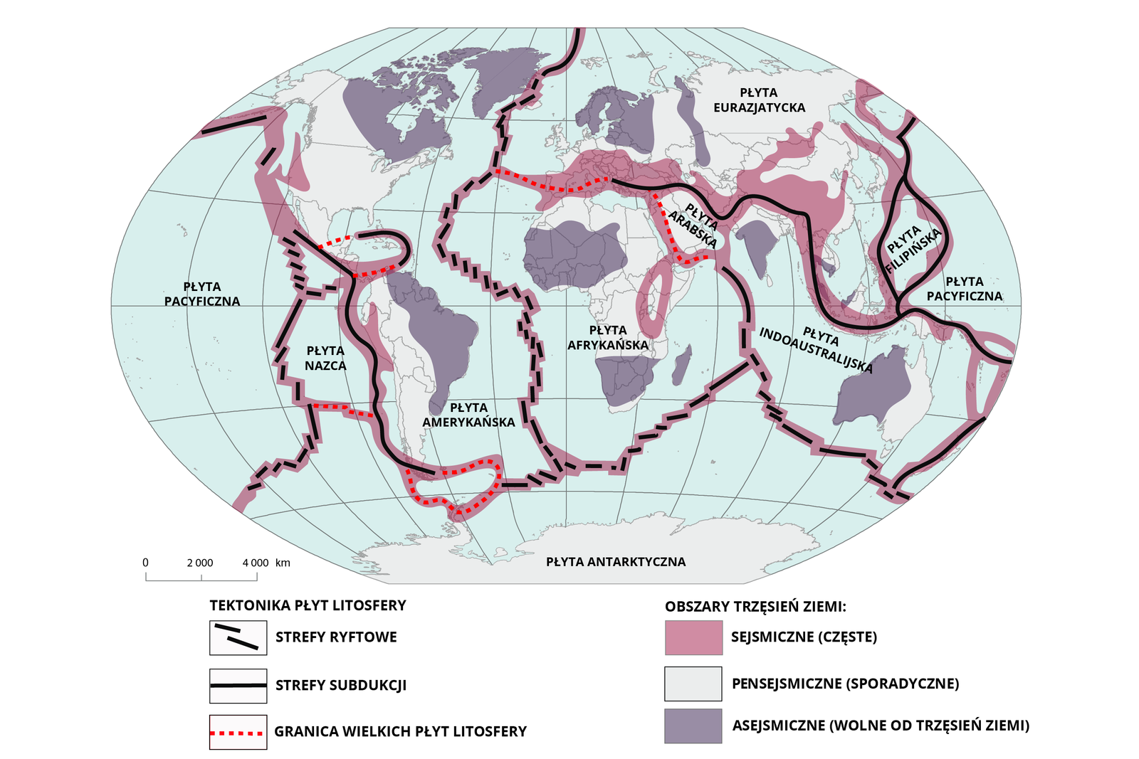 Na mapie świata zaznaczono rozmieszczenie obszarów sejsmicznych na granicach płyt litosfery. Na mapie zaznaczono granice płyt litosfery. Płyta pacyficzna, graniczy z płytą  Nazca, która powierzchnią obejmuje południowo-wschodnią część Pacyfiku. Następnie jest płyta amerykańska granicząca z płytą afrykańską. Ta na północnym wschodzie graniczy z płytą arabską. Europę i Azję obejmuje płyta euroazjatycka. W rejonie Filipin jest płyta filipińska. Płyta obejmująca między innymi Indie i Australię to płyta indoaustralijska. Na południu leży płyta antarktyczna. Na mapie zaznaczono strefy subdukcji: wschodnie wybrzeża Oceanu Spokojnego - wybrzeża Ameryki Południowej i Środkowej, Rów Atakamski - zachodni Ocean Spokojny, u wybrzeży Azji: Filipiny, Wyspy Riukiu, Wyspy Japońskie, Wyspy Kurylskie, Aleuty. Strefy ryftowe: zachodnia i północna granica płyty Nazca, strefa przechodzi na granicę płyty pacyficznej, zachodnia granica płyty eurazjatyckiej i afrykańskiej oraz południowa granica płyty afrykańskiej, zachodnia i południowa granica płyty indoaustralijskiej. Na mapie wyróżniono dwie główne strefy sejsmiczne Ziemi: okołopacyficzną, która obejmuje pacyficzne wybrzeża obu Ameryk, archipelag Aleutów i Wysp Kurylskich, Japonię, Tajwan, Filipiny, Mariany, Nową Gwineę, archipelag Nowych Hebrydów, wyspy Fidżi, Samoa, Tonga, Kermadec i Nową Zelandię. Jest to pas utworzony głównie przez strefy subdukcji pod rowami oceanicznymi. Drugą strefą jest strefa alpejsko-himalajska, która ciągnie się od Wysp Azorskich poprzez Alpy, Półwysep Apeniński, Bałkany, Anatolię, Wyżynę Irańską, góry Hindukuszu, Himalaje i Tybet po Wyspy Sundajskie. Jest to pas utworzony głównie przez strefy subdukcji pod młodymi górami. Strefami sejsmicznymi są także grzbiety śródoceaniczne i ryfty kontynentalne (takie, jak Wielkie Rowy Afrykańskie czy ryft Bajkału). Obszary nieaktywne sejsmicznie to między innymi Grenlandia, północno-wschodnia część Ameryki Północnej (Kanady), wschodnia cześć Ameryki Południowej, zachodnia i południowa część Afryki, Skandynawia i zachodnia część Rosji, Indie, północno-zachodnie obszary Australii, Antarktyda.     