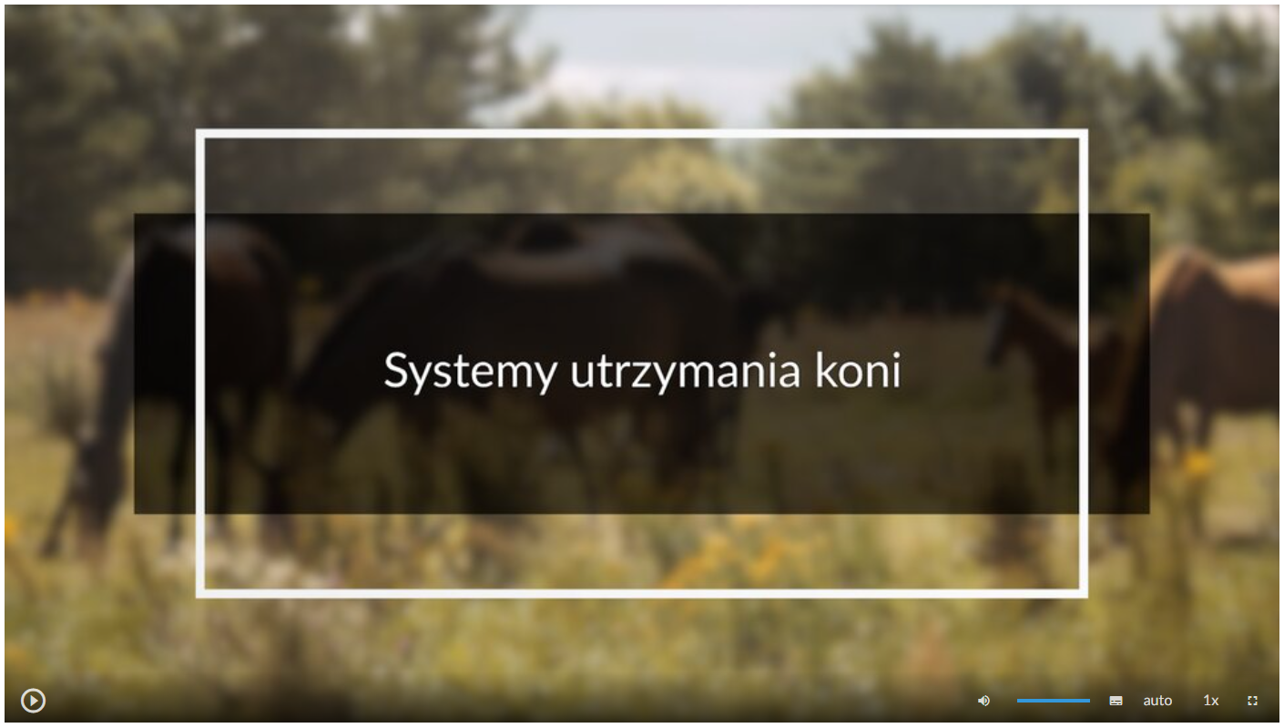 Zdjęcie przedstawia wygląd ekranu odtwarzania filmu. Ekran startowy przedstawia konie pasące się na łące. Na tle zdjęcia umieszczono tytuł filmu: Pojazdy do transportu koni. W dolnej części ekranu znajdują się ikony z różnymi opcjami. W lewym dolnym rogu widać ikonę trójkąta w kółku. Jest to ikona włączania odtwarzania filmu. Kolejna ikona znajduje się dopiero w połowie ekranu dolnego paska. Jest to ikona megafonu. Obok niej widać niebieski pasek, który oznacza poziom głośności. Dalej znajduje się mały biały prostokąt z czarnymi paskami w jego dolnej części. Pozwala ona na włączenie napisów. Kolejna ikona to napis auto, która umożliwia wybranie jakości filmu. Obok niej widać ikonę jedynki z iksem. Po kliknięciu na nią można wybrać szybkość odtwarzania filmu. Ostatnia ikona to kreski tworzące kwadrat. Kreski te tworzą jedynie krawędzie kwadratu. Jest to opcja włączania trybu pełnoekranowego.