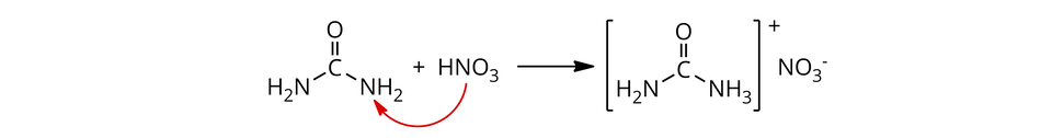 Ilustracja przedstawiająca reakcję mocznika z kwasem azotowym(pięć). Cząsteczka mocznika zbudowanego z atomu węgla połączonego za pomocą wiązania podwójnego z atomem tlenu oraz za pomocą wiązań pojedynczych z dwiema grupami N H indeks dolny, dwa, koniec indeksu dolnego. Dodać cząsteczka kwasu azotowego(pięć) H N O indeks dolny, trzy, koniec indeksu dolnego. Strzałka w prawo, za strzałką struktura kationu znajdującego się w nawiasie kwadratowym, względem którego w indeksie górnym znajduje się znak plus. W nawiasie struktura zbudowana z atomu węgla połączonego za pomocą wiązania podwójnego z atomem tlenu oraz za pomocą wiązań pojedynczych z grupą N H indeks dolny, dwa, koniec indeksu dolnego oraz z grupą N H indeks dolny, trzy, koniec indeksu dolnego. Za nawiasem anion azotanowy(pięć) N O indeks dolny, trzy, koniec indeksu dolnego, indeks górny, minus, koniec indeksu górnego.
