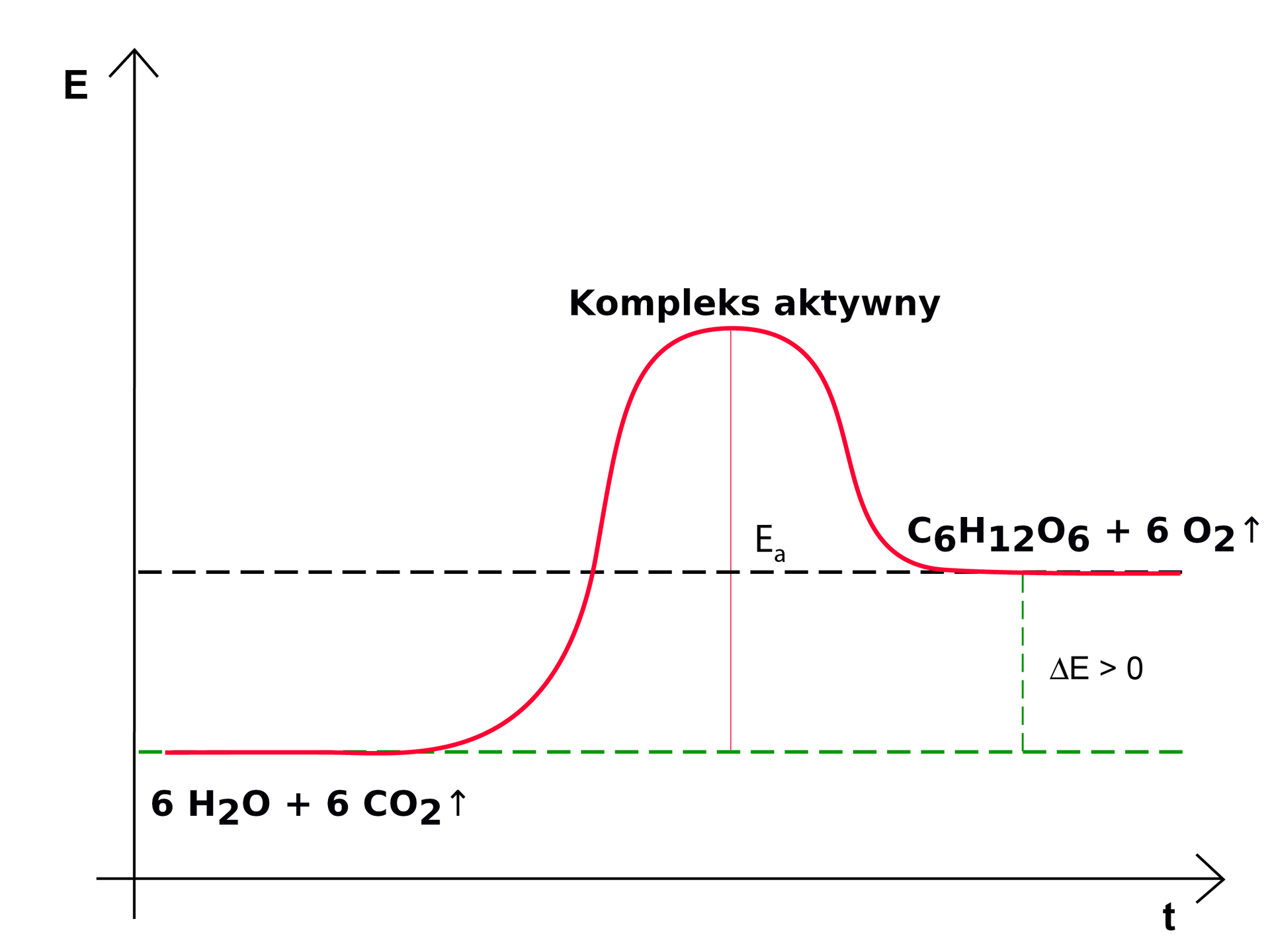 Na wykresie znajduje się krzywa, która biegnie początkowo równolegle do osi X po zielonej linii przerywanej – jest opisana:    6               H                 2                O      +   6               C       O                 2           ↑ . Następnie biegnie w górę i opada na czarnej linii przerywanej, znajdującej się powyżej zielonej linii przerywanej. Jest opisana:                C                 6                       H                 12                       O                 6           +   6               O                 2           ↑ . Od najwyższego punktu krzywej, który jest kompleksem aktywnym, poprowadzono linię w dół – do zielonej linii przerywanej – to energia aktywacji. Różnicę pomiędzy liniami przerywanymi opisano jako delta E większe od zera.