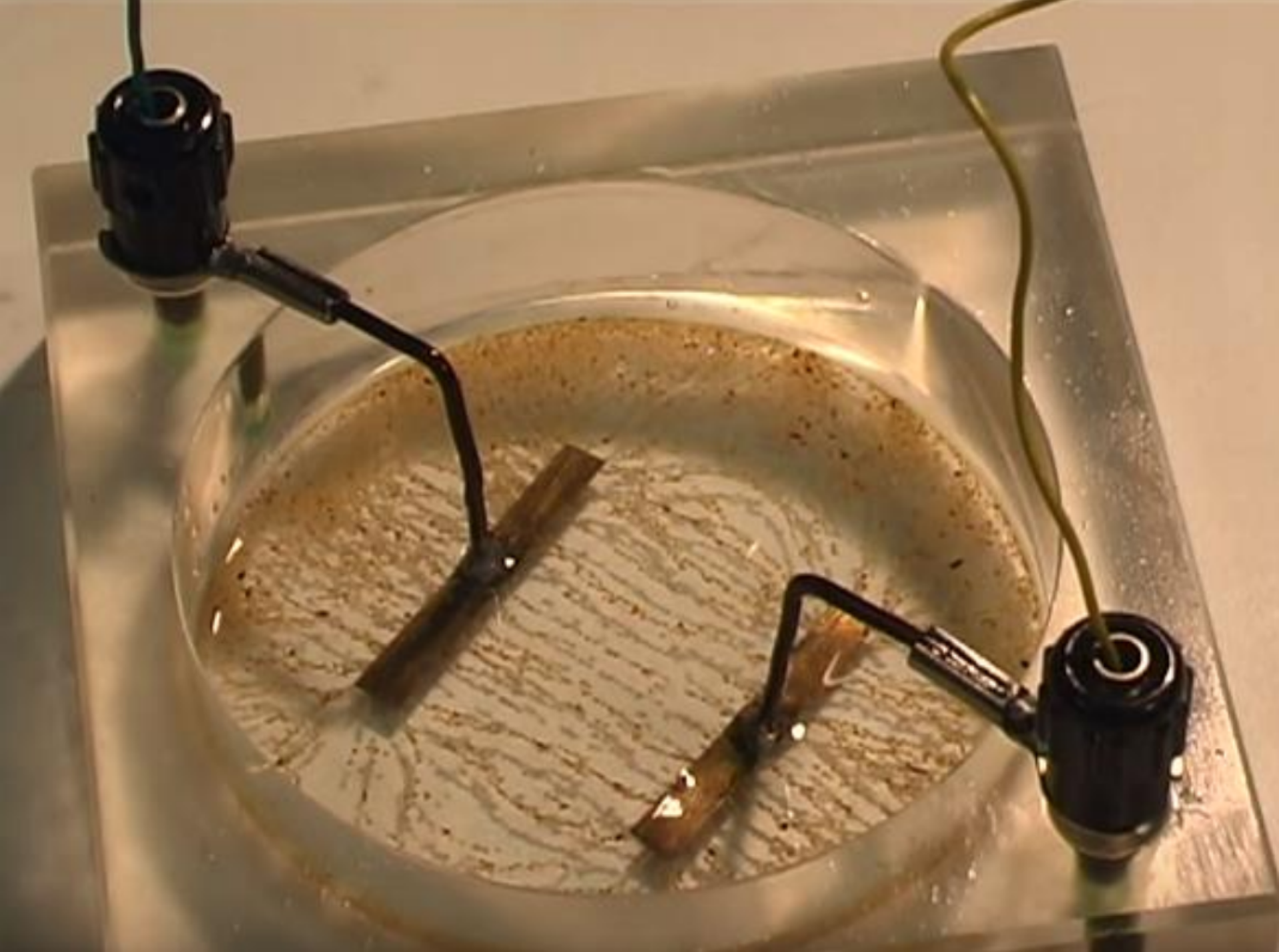 Rys. a. Na zdjęciu jest okrągła miska zawierająca zawiesinę oleju i drobnej kaszy. W zawiesinie umieszczono 2 metalowe, równoległe, poziome pręty. Do prętów dołączono przewody elektryczne. Ziarenka kaszy między prętami ułożyły się wzdłuż równoległych linii, skierowanych prostopadle do prętów.