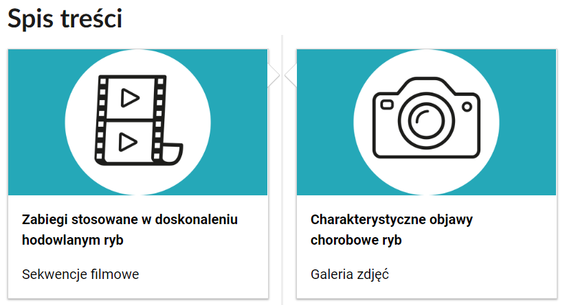 Grafika przedstawia dwa kafelki ze spisu treści. Są umiejscowione obok siebie. Mają prostokątny kształt. Górna część kafelka to grafika z symbolem danego multimedium. Symbol narysowany jest czarnymi liniami. Symbol znajduje się w białym kole na błękitnym tle. Dolna część to tytuł i nazwa multimedium. Kafelek z lewej przedstawia kliszę filmową. Podpis multimedium brzmi: Zabiegi stosowane w doskonaleniu hodowlanym ryb, sekwencje filmowe. Drugi kafelek przedstawia aparat. Podpis to: Charakterystyczne objawy chorobowe ryb, galeria zdjęć.