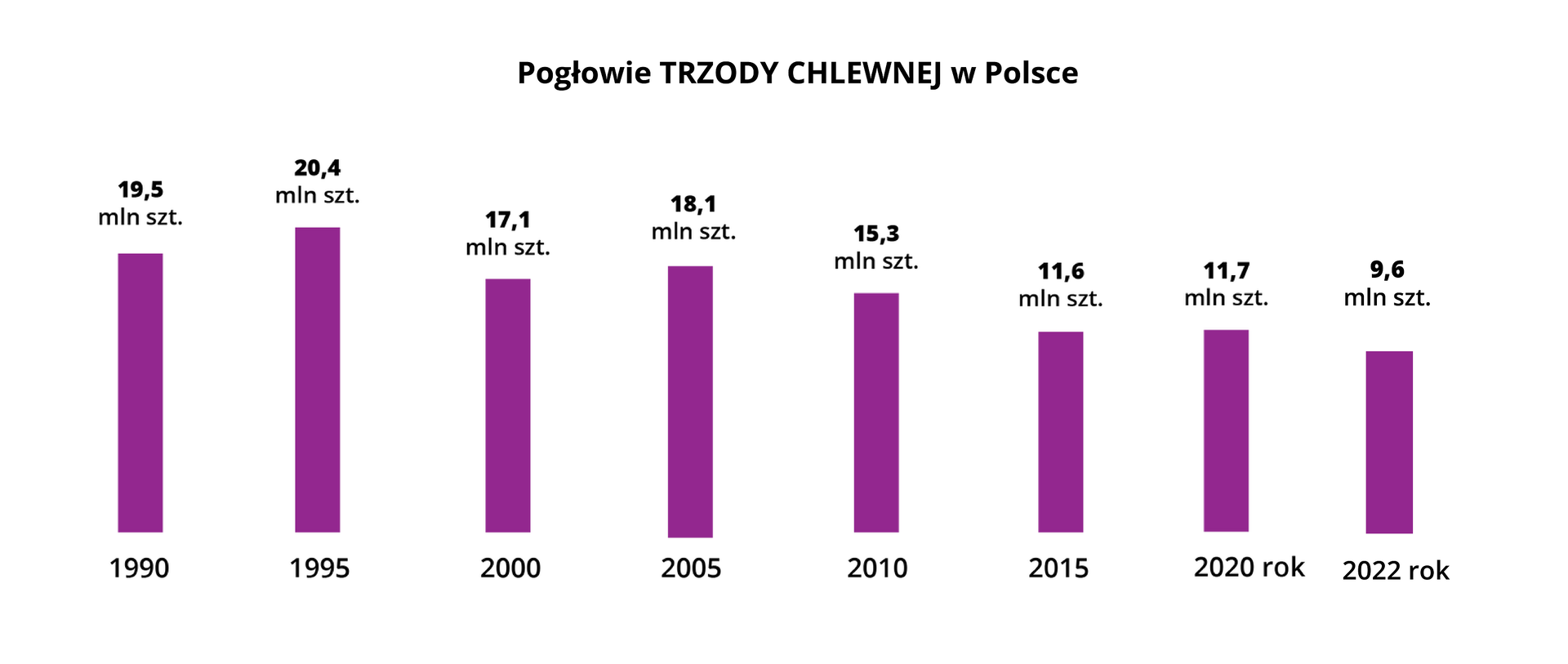 Na ilustracji diagramy słupkowe – pogłowie trzody chlewnej w Polsce w 1990 roku było 19,5 mln sztuk trzody chlewnej, w 1995 roku było 20,4 mln sztuk trzody chlewnej, w 2000 roku było 17,1 mln sztuk trzody chlewnej, w 2005 roku było 18,1 mln sztuk trzody chlewnej, w 2010 roku było 15,3 mln sztuk trzody chlewnej, w 2015 roku było 11,6 mln sztuk trzody chlewnej a w 2020 roku było 11,7 mln sztuk trzody chlewnej.