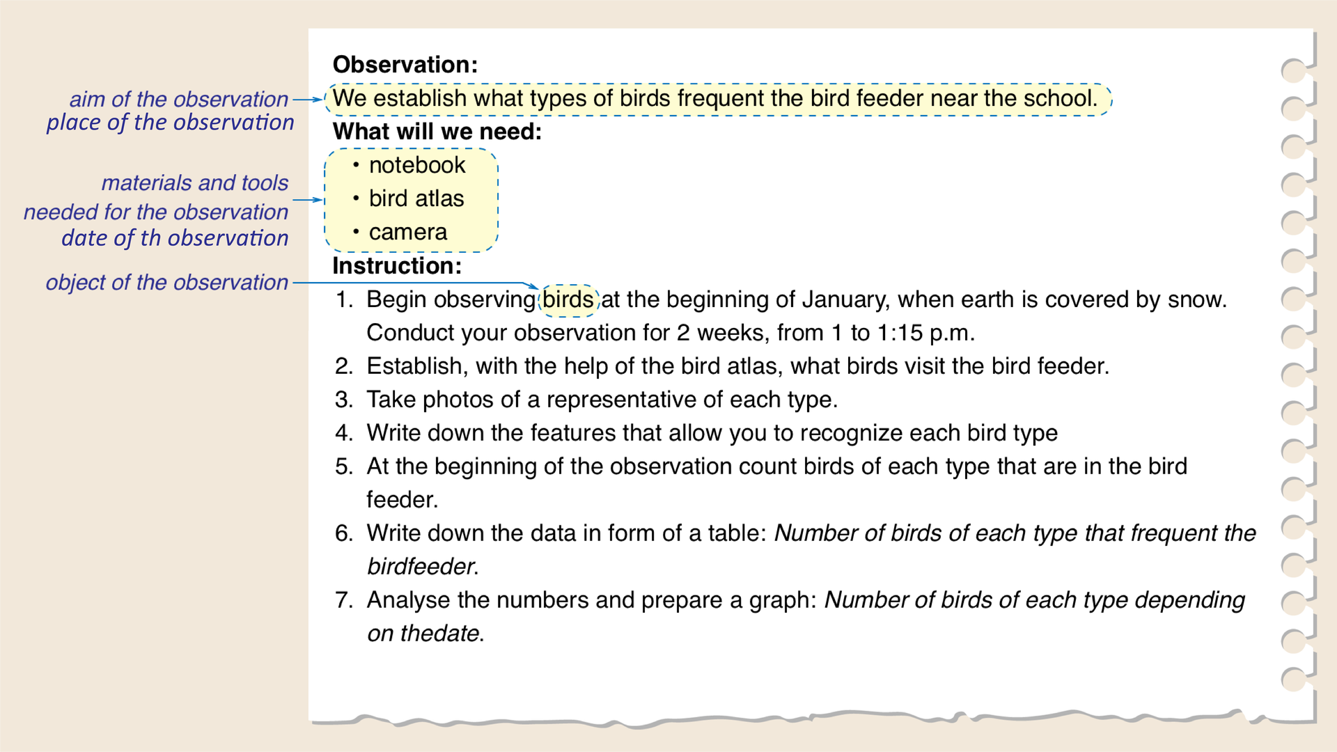 Infografika zawiera przykładowy plan obserwacji ptaków. Po pierwsze trzeba ustalić cel obserwacji: ustalamy, jakie gatunki ptaków najliczniej odwiedzają karmnik w okolicy szkoły. Po drugie potrzebne będzie określenie niezbędnych do przeprowadzenia obserwacji materiałów i przyrządów: notatnik, atlas ptaków, aparat fotograficzny. W następnej kolejności zaprezentowana jest instrukcja wykonania obserwacji: 1. Rozpocznij obserwację ptaków na początku stycznia, gdy ziemię pokryje śnieg. Prowadź ją przez dwa tygodnie, codziennie od godz. 13.00 do 13.15.2. Ustal, korzystając z atlasu ptaków, jakie gatunki odwiedzają karmnik. 3. Zrób zdjęcia przedstawicielowi każdego gatunku. 4. Zapisz cechy umożliwiające rozpoznanie obserwowanych gatunków. 5. Na początku obserwacji policz ptaki każdego gatunku znajdujące się w karmniku. 6. Zapisz dane liczbowe w tabeli: „Liczba osobników poszczególnych gatunków ptaków odwiedzających karmnik”. 7. Opracuj wyniki liczbowe i sporządź wykresy: „Liczba ptaków danego gatunku w zależności od daty” oraz „Liczba zaobserwowanych ptaków według gatunków”.