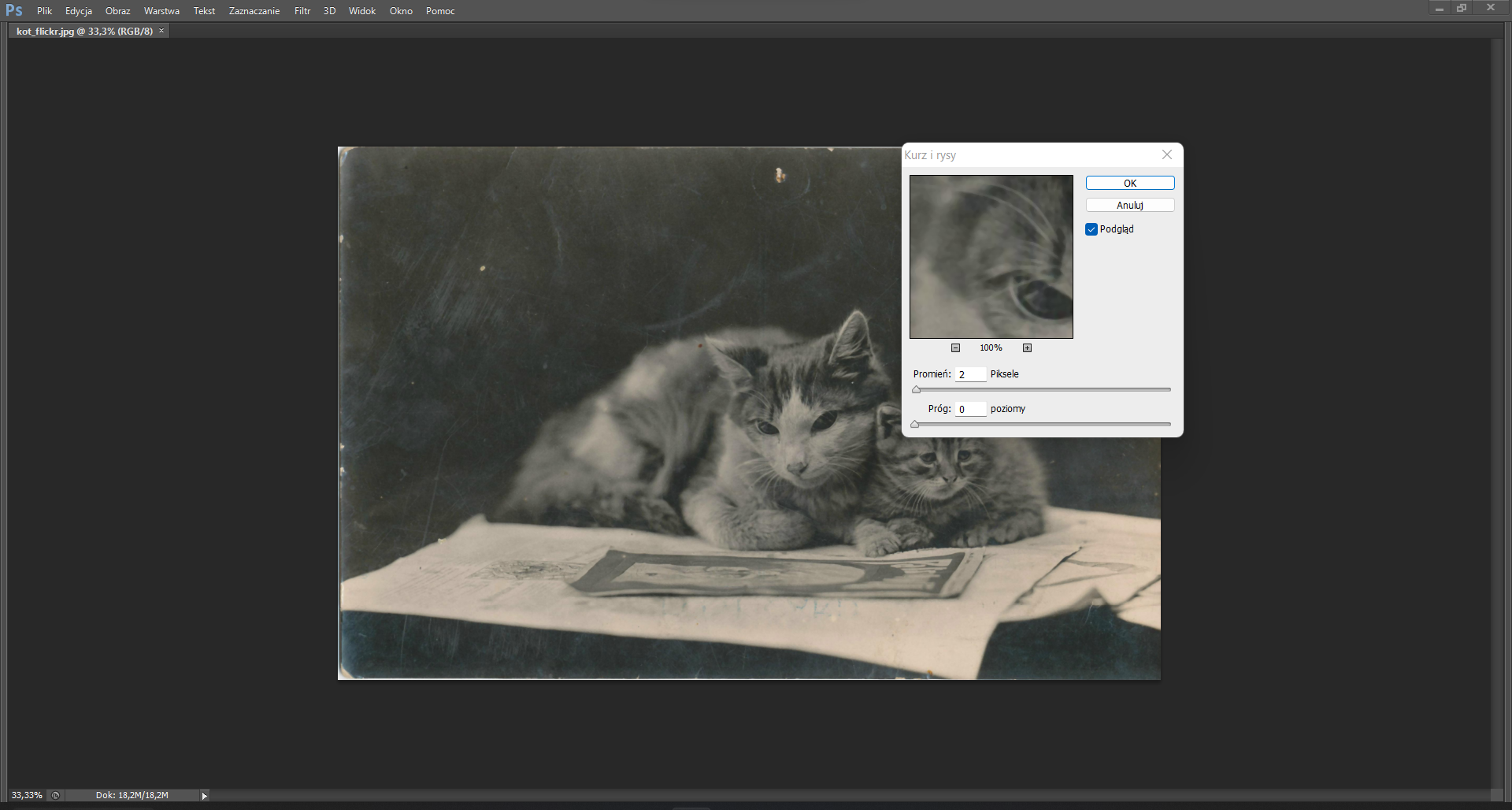 Ilustracja przedstawia otwarty program do edycji zdjęć Photoshop. W oknie programu znajduje się czarno‑białe zdjęcie przedstawia dwa przytulające się do siebie koty, leżące na rozłożonych kartkach papieru. Kot po lewej stronie jest biało‑szary, dorosły. Kot po prawej stronie jest młody, szarobury, pręgowany. Zdjęcie jest matowe, z widocznymi zagięciami, rysami i odbarwieniami na powierzchni. Obok niego otwarte jest okno dialogowe kurz i rysy. Przyjęte w oknie ustawienia: promień 2 piksele, próg 0 poziomy oraz zaznaczona opcja podgląd. Na górze okna, w prawym rogu znajdują się przyciski: ok, anuluj.