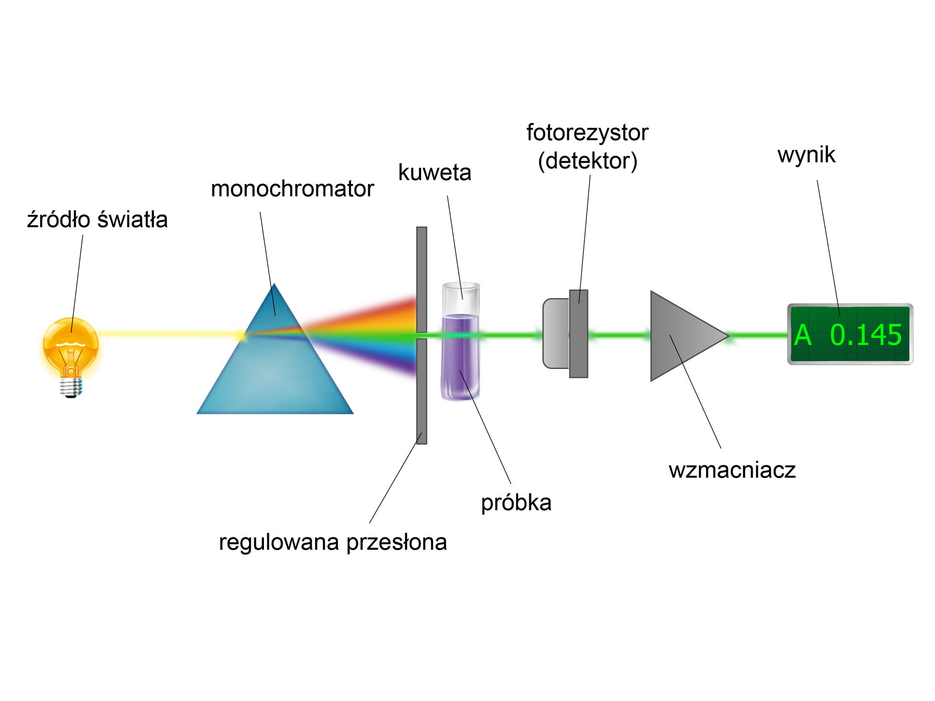Na ilustracji elementy budowy spektrofotometru. Od lewej strony znajduje się źródło światła reprezentowane przez zapaloną żarówkę. Wiązka światła przechodzi przez monochromator reprezentowany przez trójkątny pryzmat. Zostaje ona rozszczepiona. Na wiązki o różnej długości fali. Od góry wiązkę światła czerwonego, dalej, żółtego, zielonego, niebieskiego i fioletowego. Następnie trafia na regulowaną przesłonę (ma postać pionowej przegrody reprezentowanej przez prostokąt o dłuższym boku zorientowanym pionowo). Przesłona pozwala na wyodrębnienie po rozszczepieniu wiązki zielonego światła. Wiązka ta przechodzi przez próbkę znajdującą się w kuwecie (ma ona postać szklanego naczynia wykonanego ze specjalnego szkła). Przykładowa próbka ma barwę fioletową. Wiązka światła po przejściu przez barwny roztwór trafia do fotorezystora, czyli detektora. Jest on reprezentowany przez element z zaokrąglonymi bokami osadzony na pionowo zorientowanym prostokącie. Dalej sygnał trafia do wzmacniacza, reprezentowanego przez szary trójkąt. Skąd informacja może zostać przetworzona i przedstawiona na wyświetlaczu. Wyświetlacz stanowi ciemnozielony prostokąt z zielonym wynikiem absorbancji A, zero kropka jeden cztery pięć.