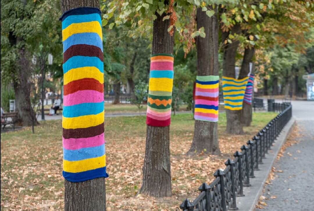 Zdjęcie przedstawia drzewa w miejskim parku, rosnące za niskim ogrodzeniem wzdłuż alejki. Każde drzewo ubrane jest w pasiasty komin/skarpetę zrobioną na drutach, która owija pień. To zabawny widok, wywołujący troskę o to, aby drzewa nie zmarzły podczas chłodów.