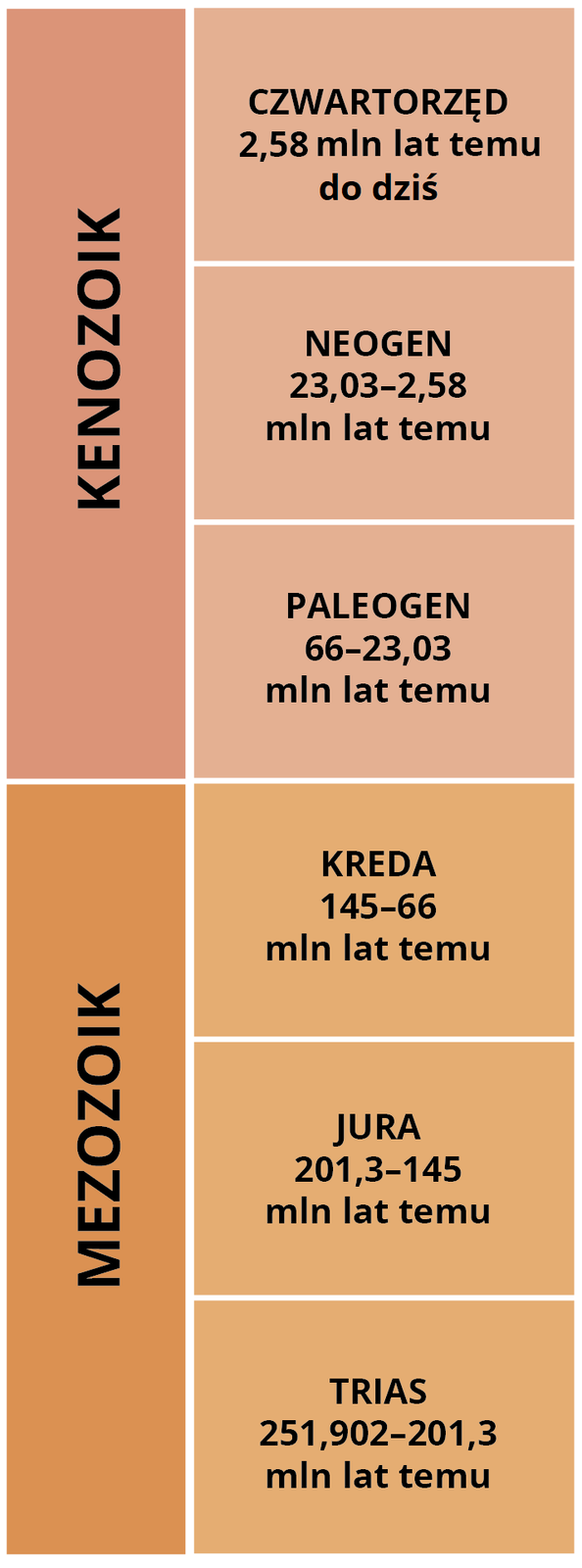 Tabela uwzględnia podział mezozoiku i kenozoiku na okresy. Mezozoik: trias 251,902 do 201,3 miliona lat temu,  jura od 201,3 do 145 milionów lat temu, kreda od 145 do 66 milionów lat temu. Kenozoik: paleogen od 66 do 23,03 miliona lat temu, neogen od 23,03 do 2,58 miliona lat temu, czwartorzęd od 2,58 miliona lat temu do dziś. 