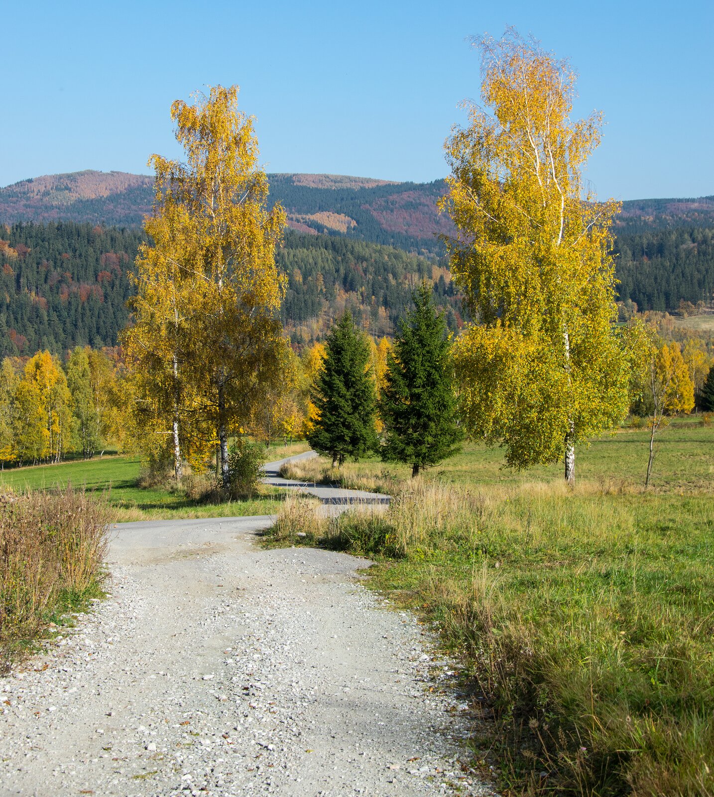 Zdjęcie przedstawia jesienny krajobraz. Pomiędzy łąkami prowadzi ścieżka. Jest wysypana jasnym kamieniem. W tle są jesienne drzewa oraz wzgórza porośnięte lasami.