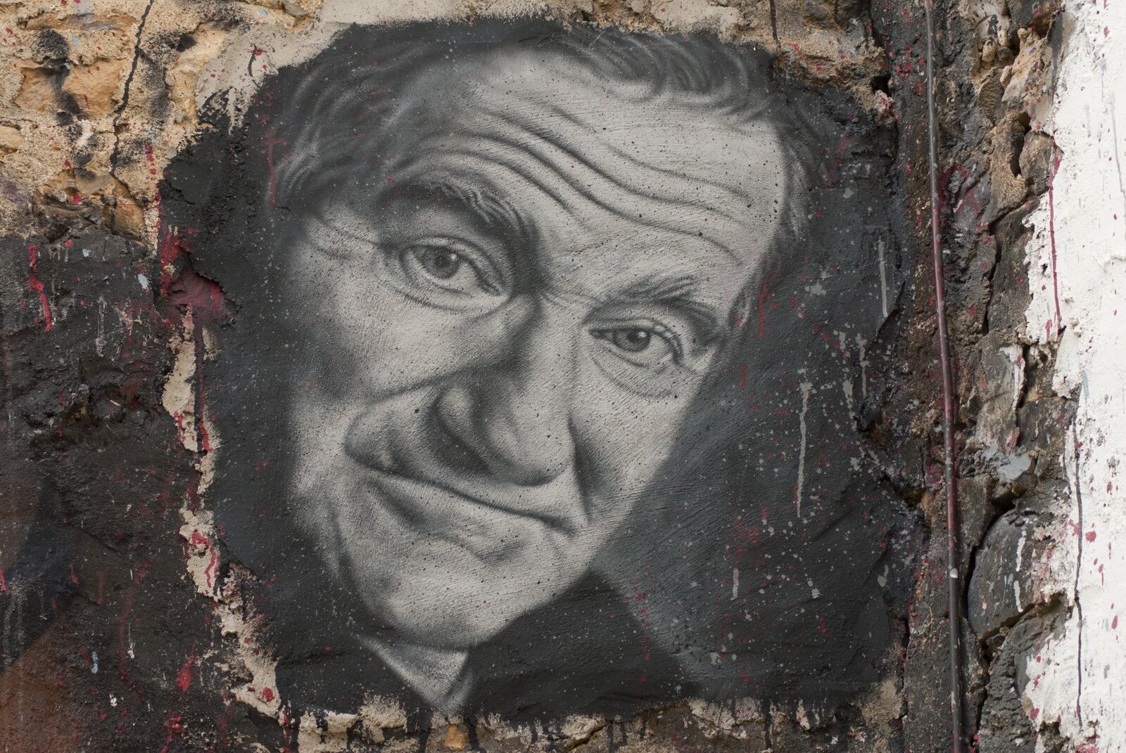 Kliknij, aby powiększyć. Ilustracja przedstawia mural z portretem Robina Williamsa. Mężczyzna w średnim wieku mający szerokie, lekko zaciśnięte usta, nad nimi wyrazisty sterczący nos, duże oczy, krzaczaste brwi, zmarszczone czoło i zaznaczone nimi kąciki przy oczach, a także wydatny podbródek. Dłuższe włosy delikatnie zachodzą na twarz. Portret otaczają grube warstwy popękanej i częściowo odpadającej farby o niejednolitym kolorze, mającej gdzieniegdzie czerwone bądź szare zacieki.