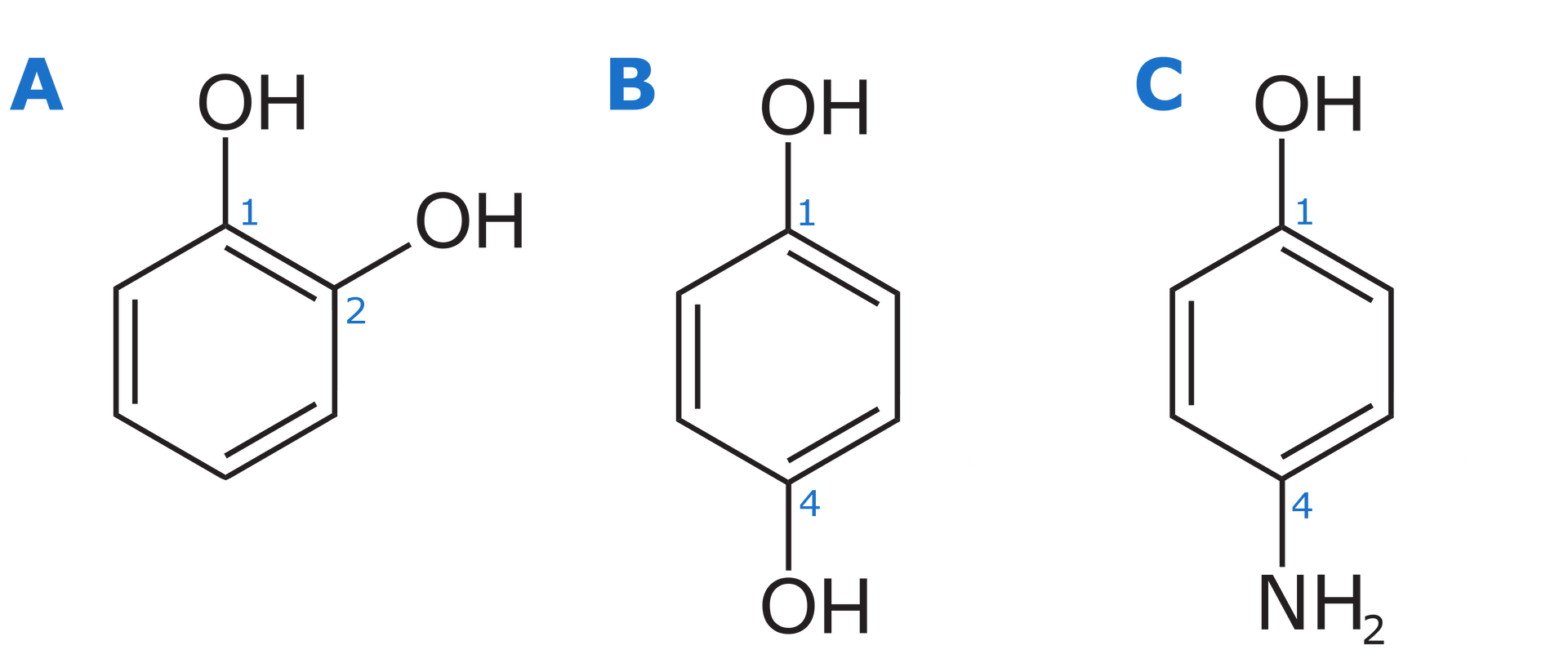 Na ilustracji są trzy wzory półstrukturalne fenol. Wzór A: sześcioczłonowy pierścień z trzema wiązaniami podwójnymi. Pierwszy atom węgla, na górze pierścienia, i drugi atom węgla - po jego prawej stronie - łączą się z grupami O H., Wzór B: sześcioczłonowy pierścień z trzema wiązaniami podwójnymi. Pierwszy atom węgla, na górze pierścienia, i czwarty atom węgla - na dole pierścienia - łączą się z grupami O H., Wzór C: sześcioczłonowy pierścień z trzema wiązaniami podwójnymi. Pierwszy atom węgla, na górze pierścienia, łączy się z grupą O H, czwarty atom węgla łączy się z grupą                N       H                 2         . 