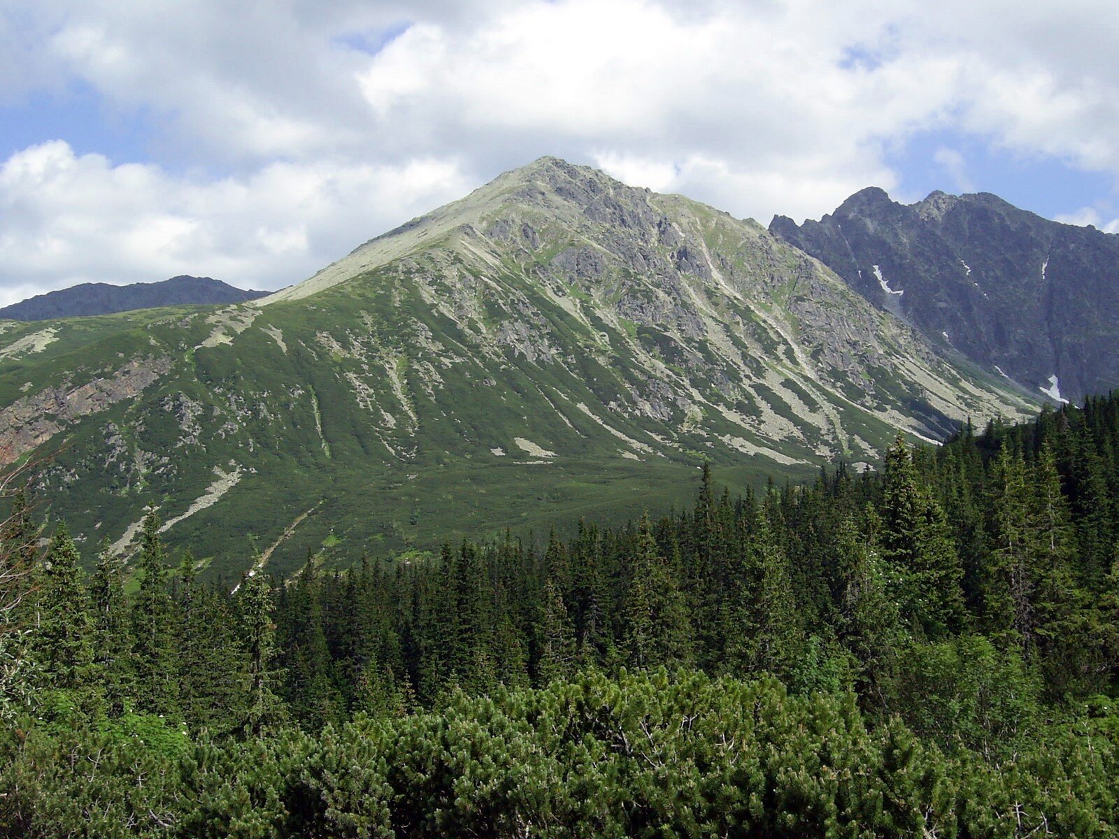 Zdjęcie przedstawia szczyt w Tatrach. U podnóża w dolinie rośnie kosodrzewina, i drzewa iglaste. Na stoku turni rośnie kosodrzewina. Im wyżej, tym więcej trawy i skał.