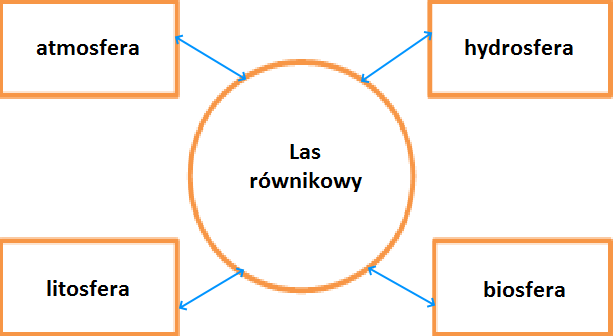 Schemat. W jego środku jest okrąg z napisem: las równikowy. Od okręgu poprowadzono strzałki skierowane w dwie strony do prostokątów z następującymi hasłami: atmosfera, hydrosfera, litosfera, biosfera.