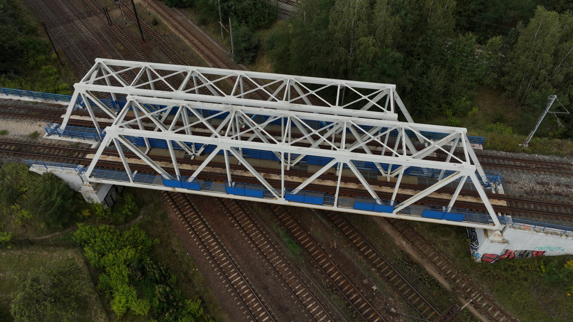 Zdjęcie przedstawia wiadukt stalowy o konstrukcji belkowej. Konstrukcja stalowa jest biała, a barierki na wiadukcie mają kolor niebieski. Na wiadukcie znajdują się dwa tory, podczas gdy pod nim biegnie pięć torów. W tle widoczny jest las.