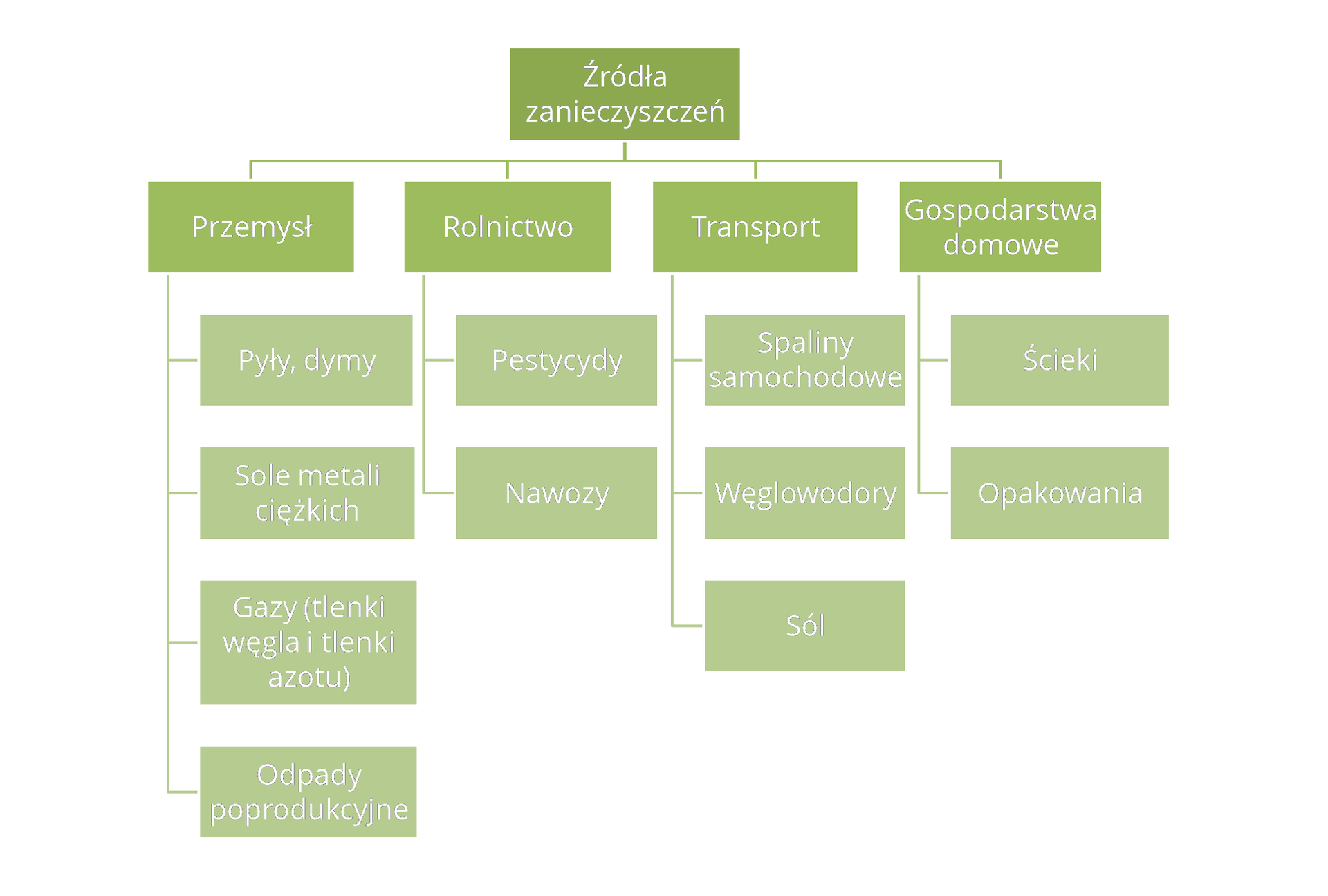 Schemat przedstawia podział źródeł zanieczyszczeń. Źródłami zanieczyszczeń są: przemysł, rolnictwo, transport, gospodarstwo domowe. W przemyśle źródłem zanieczyszczeń są: pyły, dymy; sole metali ciężkich; gazy (tlenki węgla i tlenki azotu); odpady poprodukcyjne. W rolnictwie: pestycydy i nawozy. W transporcie: spaliny samochodowe, węglowodory, sól. W gospodarstwach domowych: ścieki oraz opakowania.   