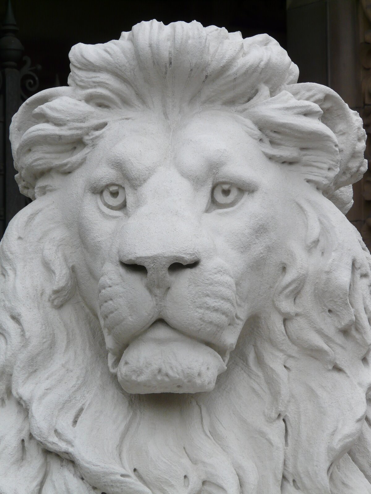 Ilustracja przedstawia posąg lwa. Zwierzę ma bujną grzywę, duże oczy i gęstą sierść.