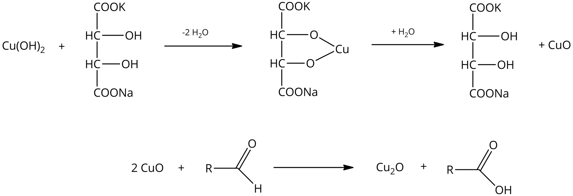 Na ilustracji są dwa równania reakcji. Pierwsze równanie: jedna cząsteczka wodorotlenku miedzi<math aria‑label="dwa">II dodać cząsteczka o wzorze - grupa C O O K łączy się w dół z grupą HC, która łączy się w dół z kolejną grupą H C. Ta z kolei łączy się na dole z grupą C O O N a. Grupy H C łączą się - każda z nich - z grupą OH. W wyniku dodania dwóch cząsteczek wody powstaje cząsteczka o wzorze:  grupa C O O K łączy się w dół z grupą H C, która łączy się w dół z kolejną grupą H C. Ta z kolei łączy się na dole z grupą C O O N a. Grupy H C łącza się - każda z nich - z atomem tlenu. Atomy tlenu łączą się z jednym wspólnym atomem miedzi. Po dodaniu cząsteczki wody powstaje cząsteczka o wzorze: grupa C O O K łączy się w dół z grupą H C, która łączy się w dół z kolejną grupą H C. Ta z kolei łączy się na dole z grupą C O O N a. Grupy H C łączą się - każda z nich - z grupą O H. Drugim produktem jest jedna cząsteczka tlenku miedzi<math aria‑label="dwa">II. Drugie równanie: dwie cząsteczki tlenku miedzi<math aria‑label="dwa">II dodać jedna cząsteczka R C H O strzałka w prawo jedna cząsteczka tlenku miedzi<math aria‑label="jeden">I dodać jedna cząsteczka R C O O H. 
