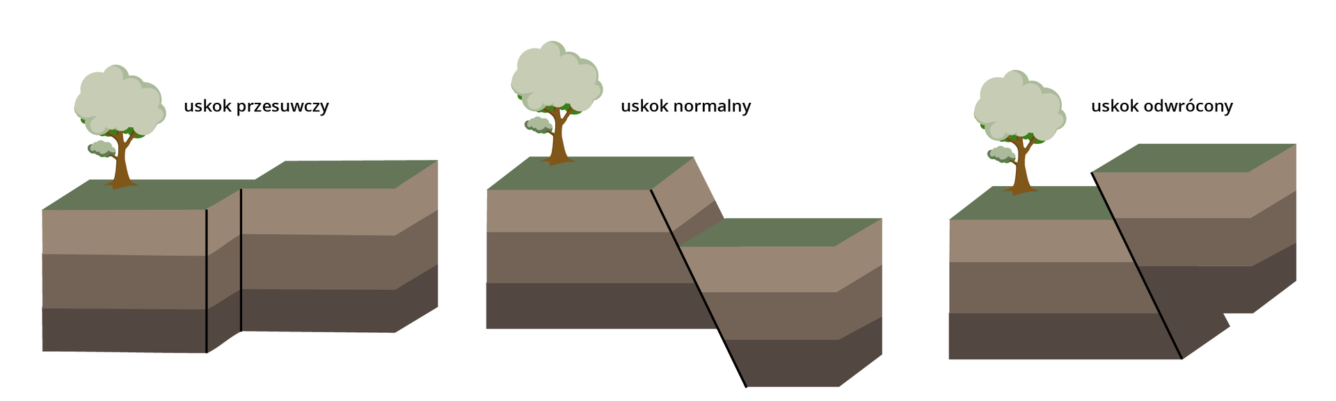 Grafika przedstawia uskoki. Przy uskoku przesuwczym przemieszczenie zachodzi równolegle do uskoku, nie odsuwając się od siebie. Przy uskoku normalnym przemieszczeniu zachodzi w dół uskoku. Przy uskoku odwróconym przemieszczenie zachodzi w górę uskoku.