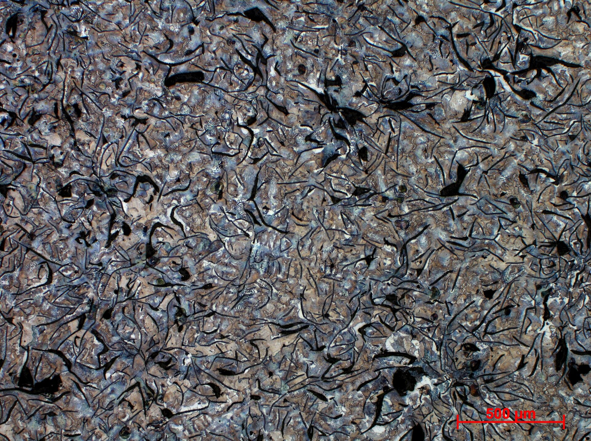 Zdjęcie przedstawia żeliwo szare zwykłe. Widoczna jest osnowa perlityczna z grafitem płatkowym w powiększeniu pięciokrotnym. Czarne podłużne paski grafitu płatkowego otoczone są dużymi białymi ziarnami ferrytu, wokół nich widać duże ziarna perlitu, mieniącego się kolorowo.