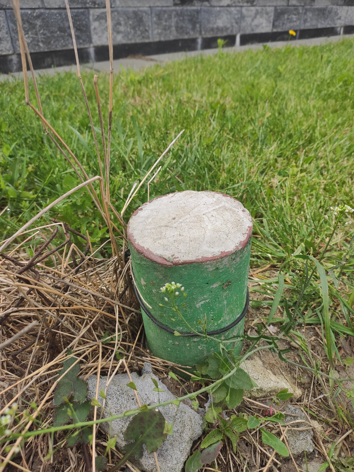 Znak stabilizacyjny w postaci betonowego okrągłego słupka, który z zewnątrz został pomalowany na zielono. Słupek został umieszczony w trawie.