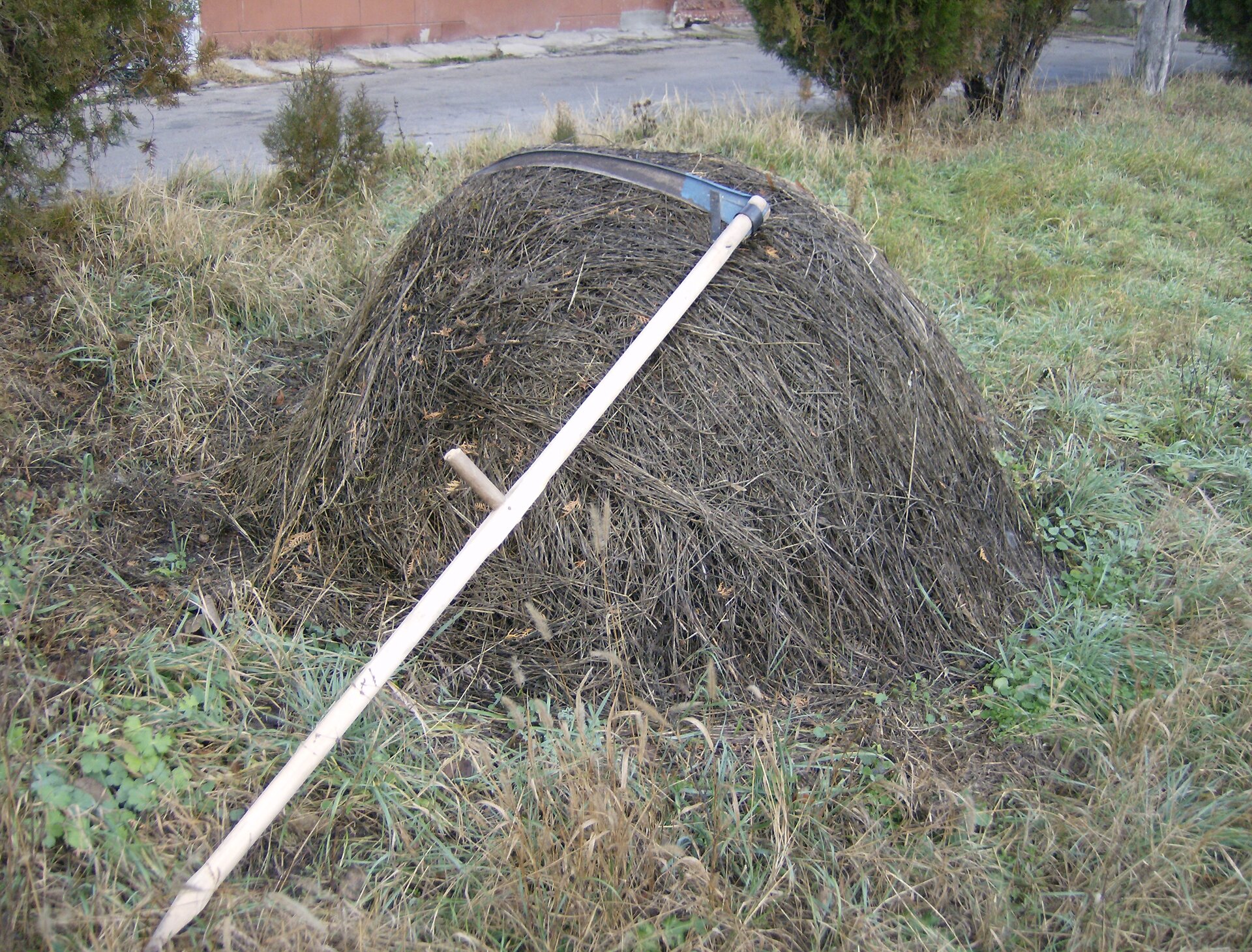 Kliknij, aby powiększyć Na zdjęciu narzędzie na które składa się długi i wygięty nóż (czyli kosa), który jest umocowany na długim (około 2 metrowym) drzewcu (tzw. kosisku). Ostrze noża znajduje się po jego wewnętrznej stronie.