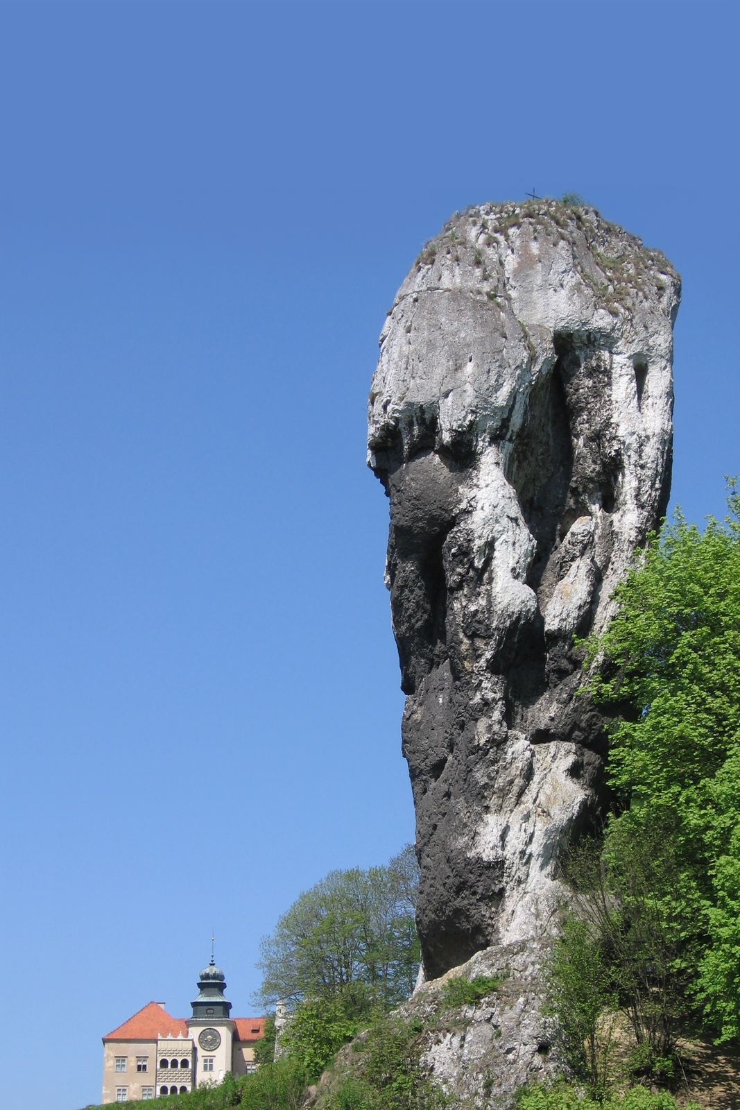 Zdjęcie przedstawiające samotną, wysoką skałę w Ojcowskim Parku Narodowym, nazywaną Maczugę Herkulesa.