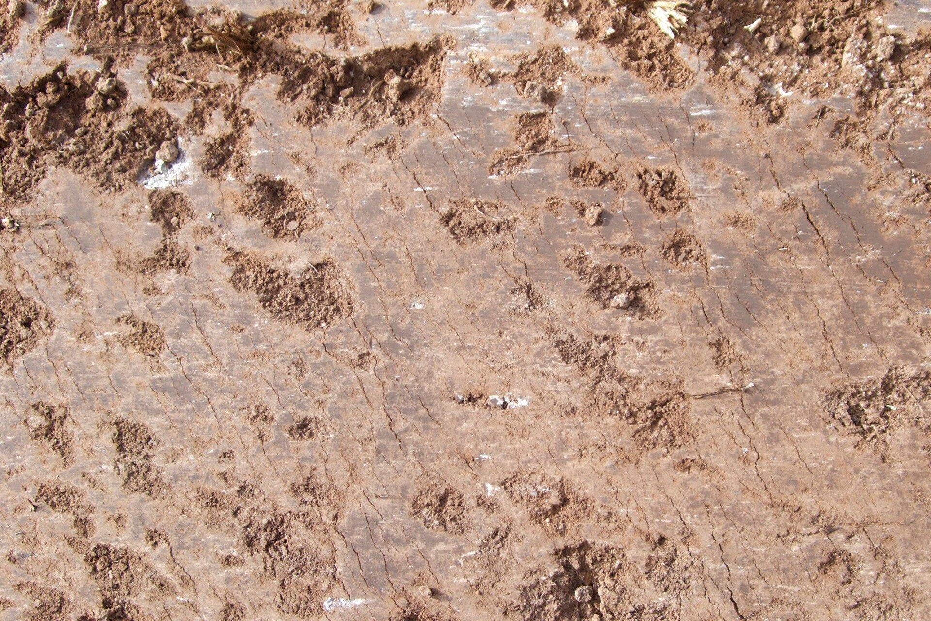 Fotografia przedstawia brązową glinę. Przedstawiony fragment gliny jest dość miękki gładki. W strukturze gliny widać pęknięcia oraz zagłębienia będące dziełem człowieka lub natury.