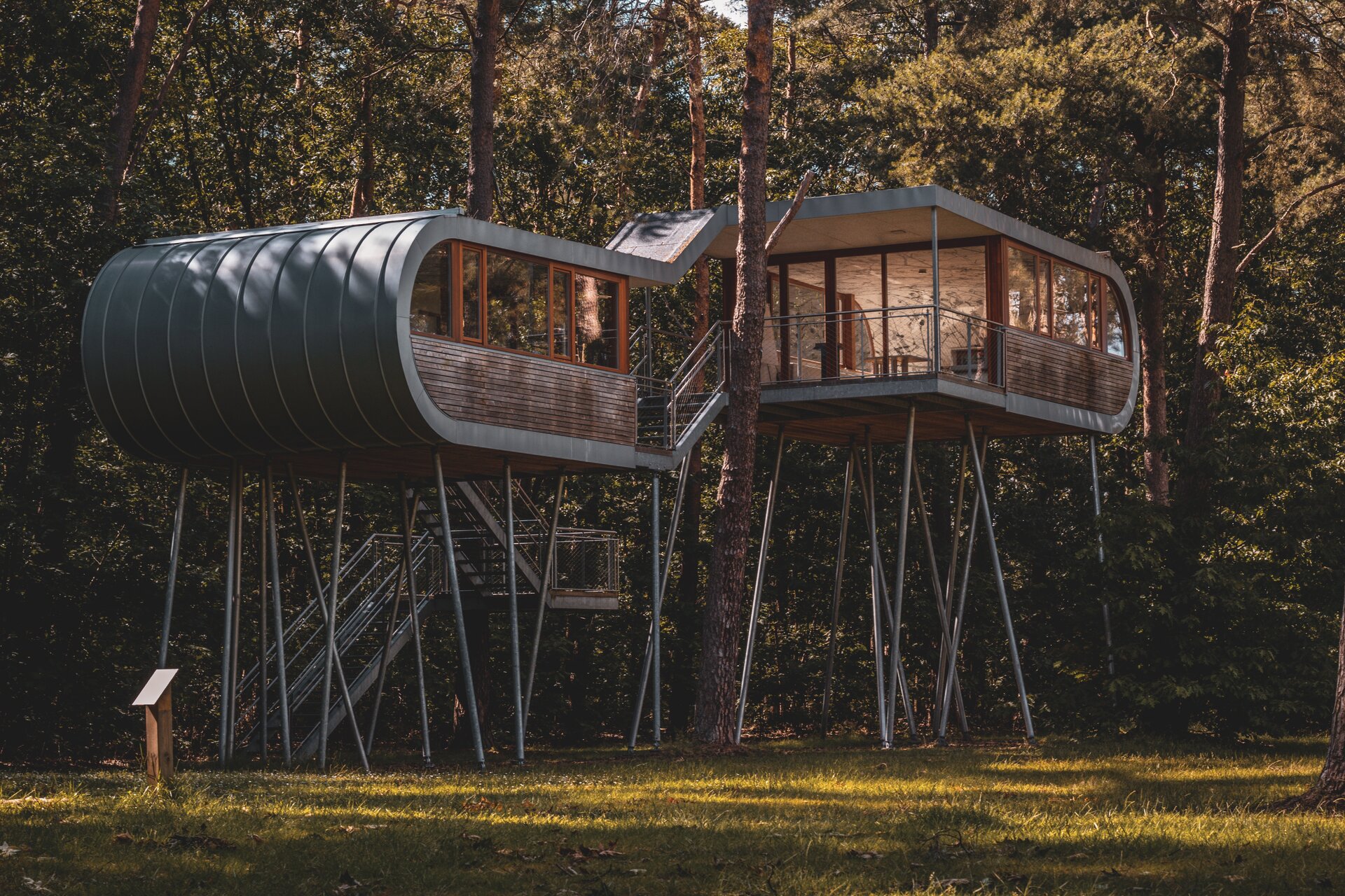 Ilustracja przedstawia przeszklone mieszkanie zbudowane w lesie. Znajduje się nad ziemią na wielu wzmocnionych rurach