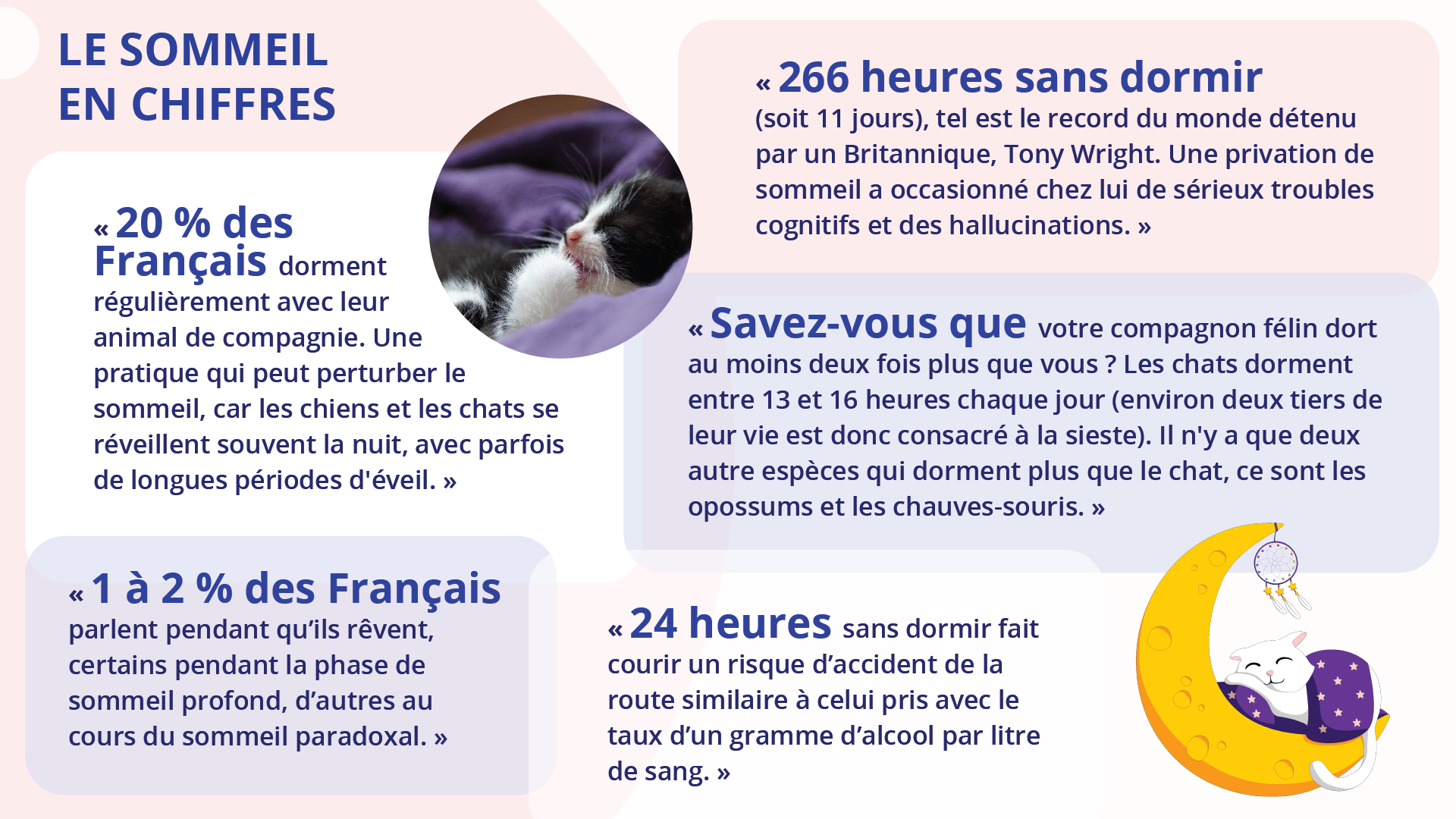 Ilustracja zatytułowana jest LE SOMMEIL EN CHIFFRES i składa się z pięciu ramek z tekstem. Dodatkowo, przy ramce pierwszej jest okienko ze zdjęciem śpiącego kota a przy ostatniej grafika kota śpiącego na księżycu, na którym zawieszony jest również łapacz snów.
Ramka pierwsza. 20 % des Français dorment
régulièrement avec leur animal de compagnie. Une pratique qui peut perturber le sommeil, car les chiens et les chats se réveillent souvent la nuit, avec parfois de longues périodes d'éveil. 
Ramka druga. 1 à 2 % des Français parlent pendant qu'ils rêvent, certains pendant la phase de sommeil profond, d'autres au cours du sommeil paradoxal. 
Ramka trzecia. 266 heures sans dormir
(soit 11 jours), tel est le record du monde détenu par un Britannique, Tony Wright. Une privation de sommeil a occasionné chez lui de sérieux troubles cognitifs et des hallucinations. 
Ramka czwarta. Savez‑vous que votre compagnon félin dort au moins deux fois plus que vous ? Les chats dorment entre 13 et 16 heures chaque jour (environ deux tiers de leur vie est donc consacré à la sieste). Il n'y a que deux autre espèces qui dorment plus que le chat, ce sont les opossums et les chauves‑souris. 
Ramka piąta. 24 heures sans dormir fait courir un risque d'accident de la route similaire à celui pris avec le taux d'un gramme d'alcool par litre de sang. 
