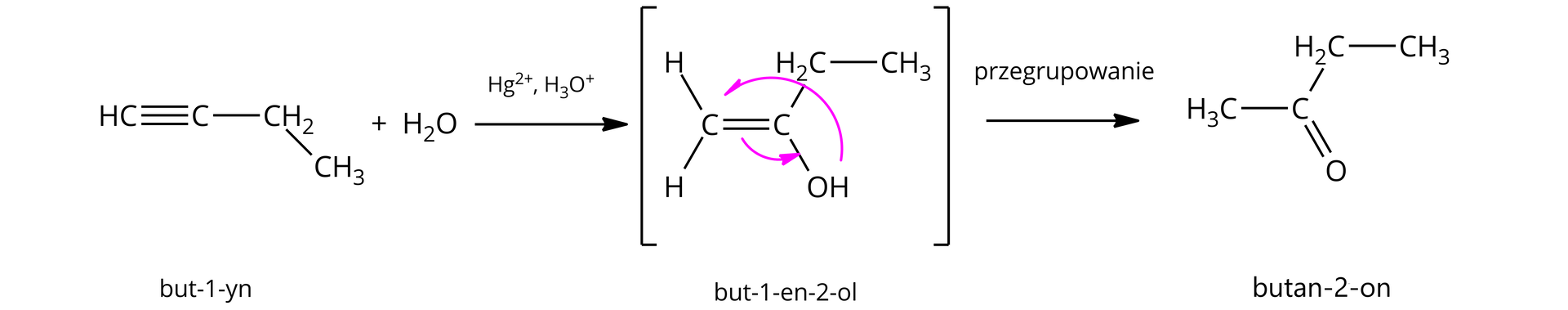 Na ilustracji znajduje się schemat reakcji addycji wody do but-1-yn. Wodór wiązanie pojedyncze węgiel wiązanie potrójne węgiel wiązanie pojedyncze grupa etylowa C indeks dolny dwa H indeks dolny pięć plus cząsteczka wody, strzałka w prawo, nad strzałką zapis: Hg indeks górny plus dwa, H indeks dolny trzy O indeks górny plus, powstaje związek z wiązaniem podwójnym węgiel - węgiel. Do pierwszego atomu węgla dołączone są dwa atomy wodoru za pomocą wiązań pojedynczych. Do drugiego atomu węgla dołączona jest grupa etylowa i hydroksylowa za pomocą wiązań pojedynczych. Dodatkowo strzałka od protonu grupy OH do atomu węgla podstawionego dwoma wodorami. Strzałka od wiązania podwójnego do wiązania między węglem a grupą OH. Pod wzorem znajduje się podpis: but-1-en-2-ol. Strzałka w prawo, podpis przegrupowanie, powstaje związek o wzorze grupa metylowa wiązanie pojedyncze atom węgla związany z grupą etylową wiązaniem pojedynczym oraz podwójnym z atomem tlenu. Pod wzorem znajduje się podpis: butanon.