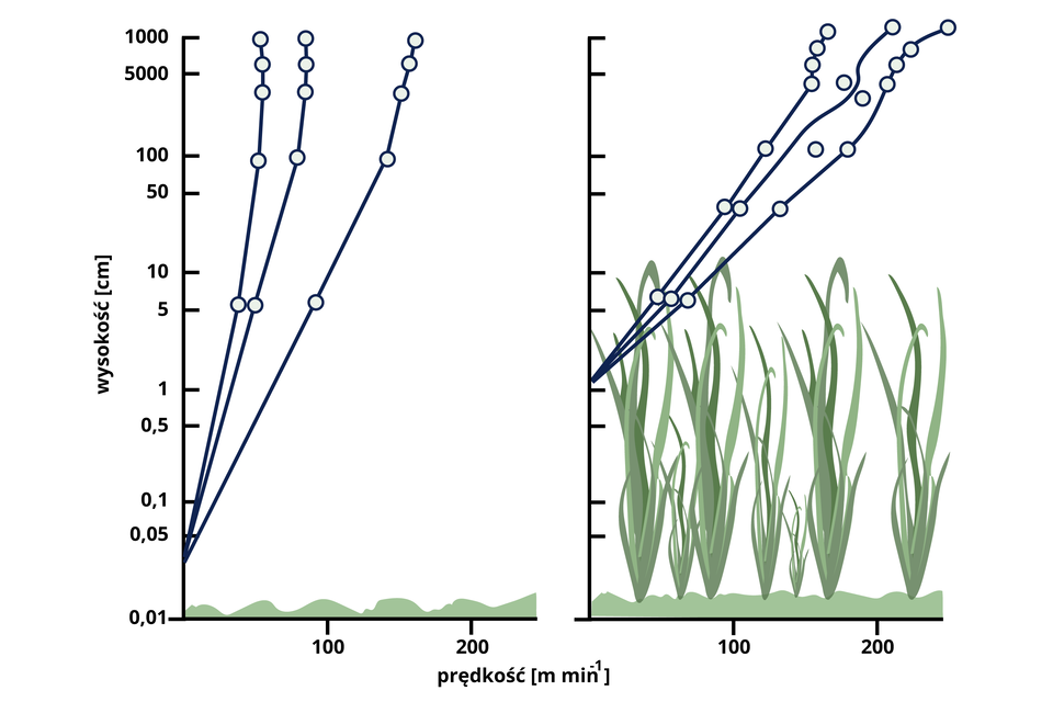 Dwa wykresy przedstawiają zmiany prędkości wiatru (oś X) w zależności od wysokości (oś Y) nad piaszczystą powierzchnią płaską oraz łąką. Na pierwszym wykresie dotyczącym terenu płaskiego są trzy krzywe. Na osi Y  - osi wysokości od 0,01 do 1000 centymetrów - rozpoczynają się w punkcie 0,04 centymetra, krzywe gwałtownie biegną w górę. Mieszczą się w przedziale prędkości od 0,01 do około 180 metrów na minutę. W przypadku łąki trzy krzywe zaczynają się na osi Y w punkcie 1 centymetr. Biegną łagodniej w stosunku do osi X, czyli do osi prędkości. Na osi X biegną w przedziale od 100 do ponad 200 metrów na minutę.   