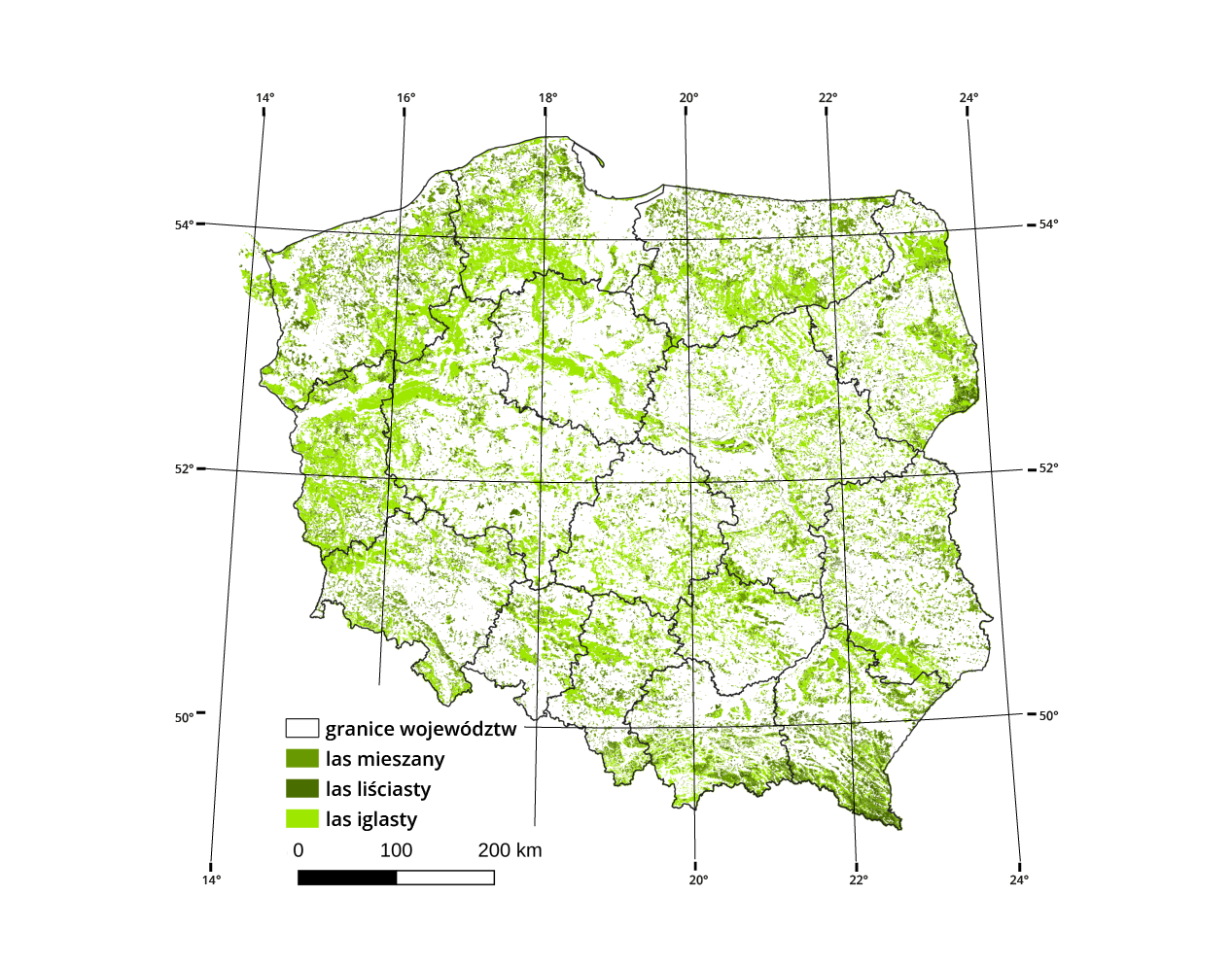 Ilustracja przedstawiająca mapę Polski, na której kolorami oznaczono obszary występowania poszczególnych gatunków lasów. Kolorem jasnozielonym oznaczono lasy iglaste, kolorem ciemnozielonym lasy liściaste, a kolorem zielonym lasy mieszane. Na mapę nałożono siatkę geograficzną co dwa stopnie.
Przeważają lasy iglaste i mieszane. Oba typy występują na obszarze całej Polski od pobrzeża Bałtyku, przez pas nizin i wyżyn. Największe kompleksy borów (lasów iglastych) występują w obrębie Borów Tucholskich, Borów Dolnośląskich (największego kompleksu leśnego w Polsce), Puszczy Kurpiowskiej, Puszczy Białej, Puszczy Augustowskiej, Puszczy Solskiej, Puszczy Piskiej, Puszczy Noteckiej.
Bory mieszane występują między innymi w granicach Puszczy Kozienickiej, Puszczy Niepołomickiej, Puszczy Rominckiej, Puszczy Boreckiej, Puszczy Augustowskiej.
Największy teren zajmowany przez lasy liściaste znajduje się w Puszczy Białowieskiej. Nad brzegami rzek występują również liściaste lasy łęgowe.
Najmniej obszarów porośniętych lasami występuje w Polsce centralnej, najwięcej w górach i na pojezierzach.