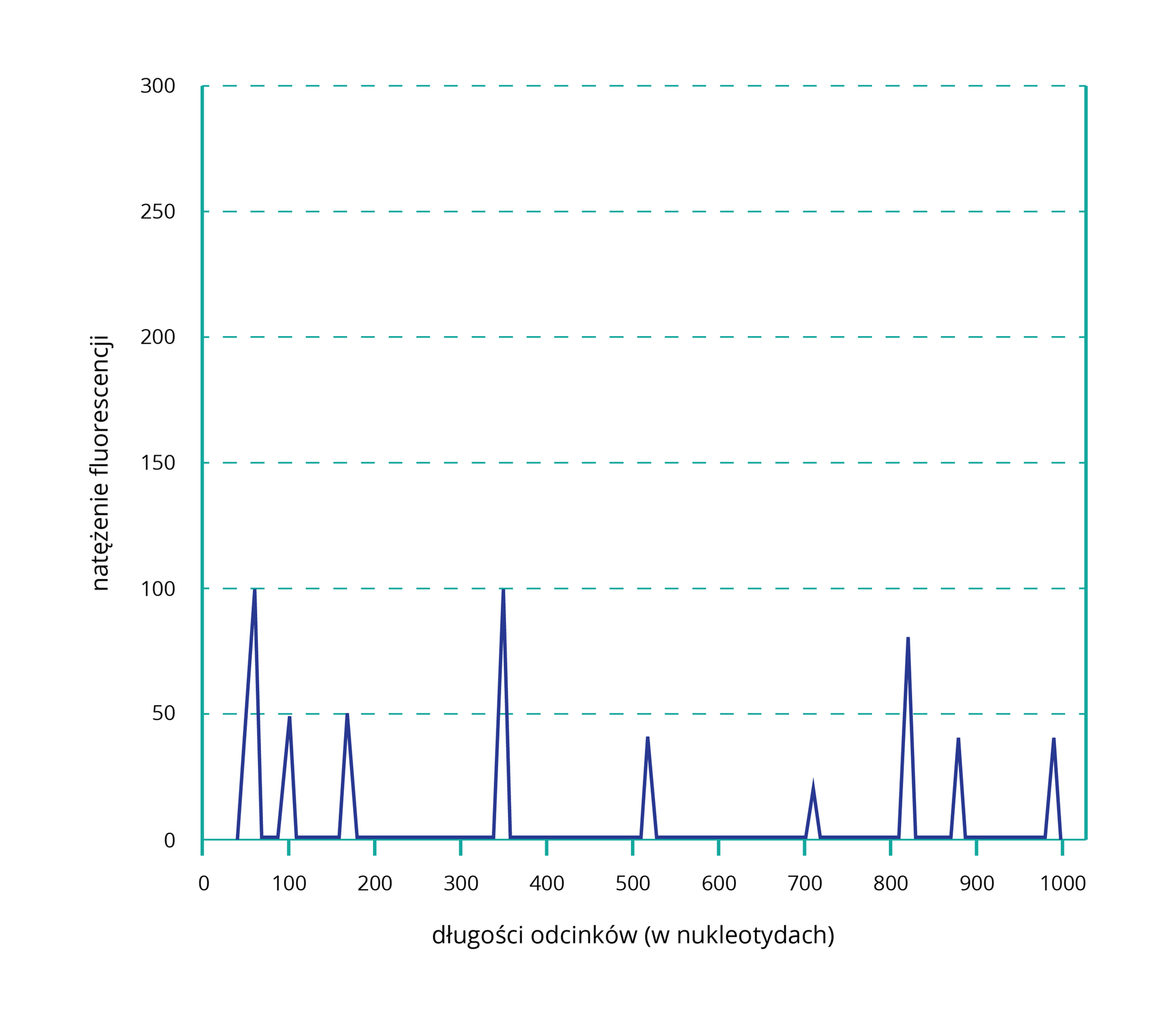 Grafika przedstawia przykładowy profil genetyczny. Jest to wykres. Na osi poziomej znajdują się długości odcinków (w nukleotydach). Zaznaczono wartości 0, 100, 200, 300 i tak dalej, aż do 1000. Na osi pionowej umieszczono natężenie fluorescencji. Wartości wzrastają o 50, zaczynając od 0, a kończąc na 300. Na wykresie zaznaczono trójkątne piki. 