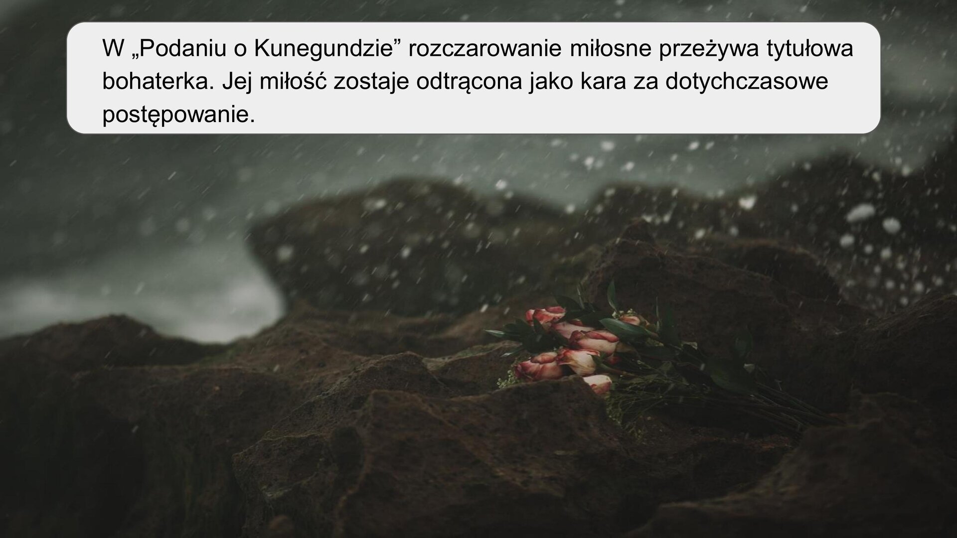 Na zdjęciu widoczne są skały, na których leży bukiet biało‑różowych róż. W tle widoczne są spienione fale. Zdjęcie stanowi tło dla tekstu: W “Podaniu o Kunegundzie” rozczarowanie miłosne przeżywa tytułowa bohaterka. Jej miłość zostaje odtrącona jako kara za dotychczasowe postępowanie”.