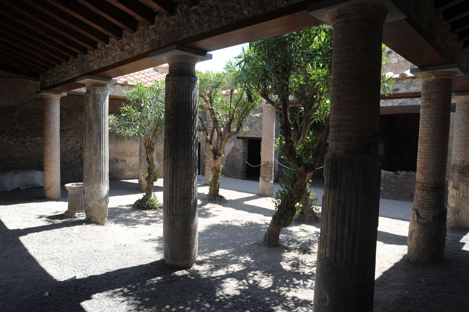 Fotografia nieznanego autora przedstawia wewnętrzny dziedziniec w starożytnej świątyni. Na pierwszym planie widoczne są kolumny podtrzymujące zadaszenie. Na drugim planie widoczne są cztery drzewa, które rosną w centrum dziedzińca. 